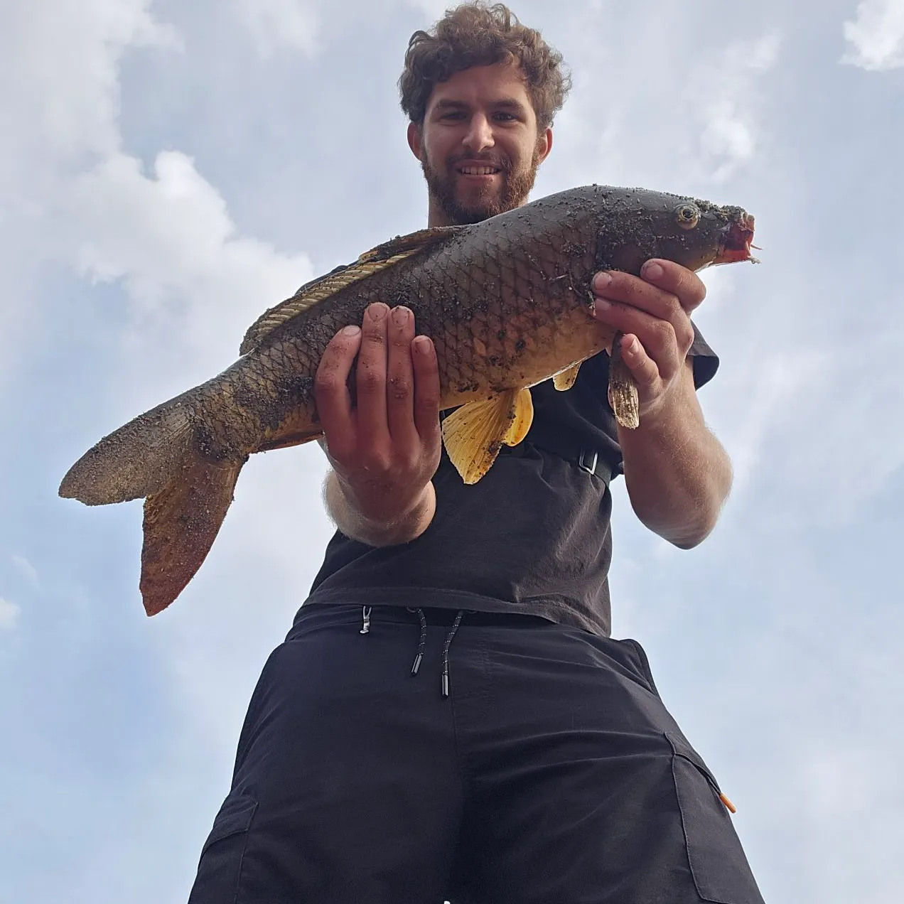 Common carp caught on Fishbrain