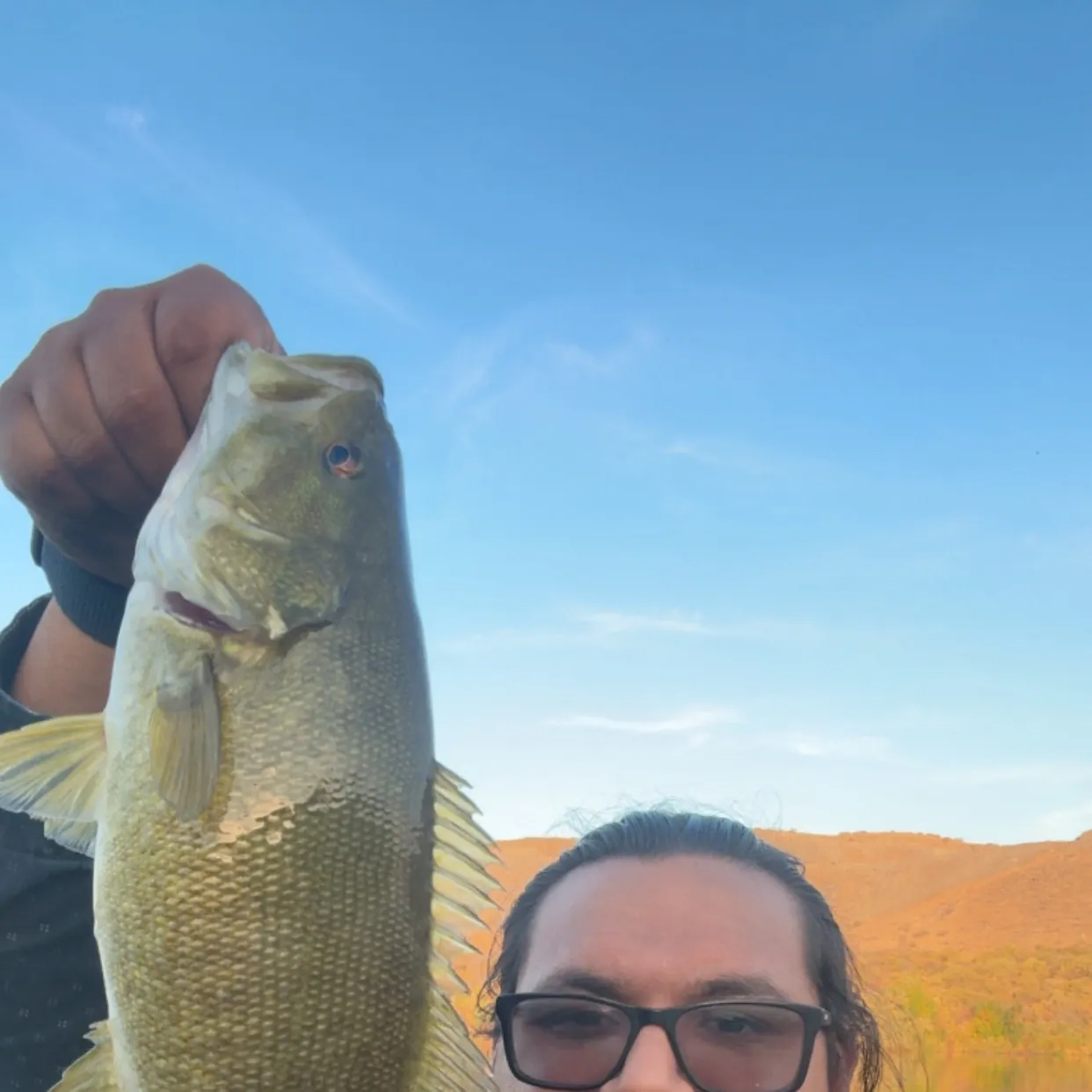 Smallmouth bass caught on Fishbrain