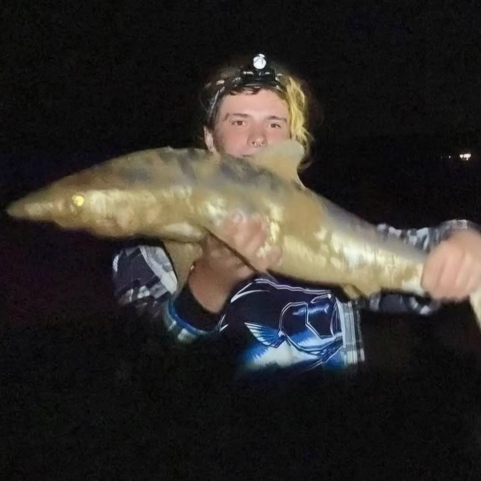 The most recent Copper shark catches on Fishbrain