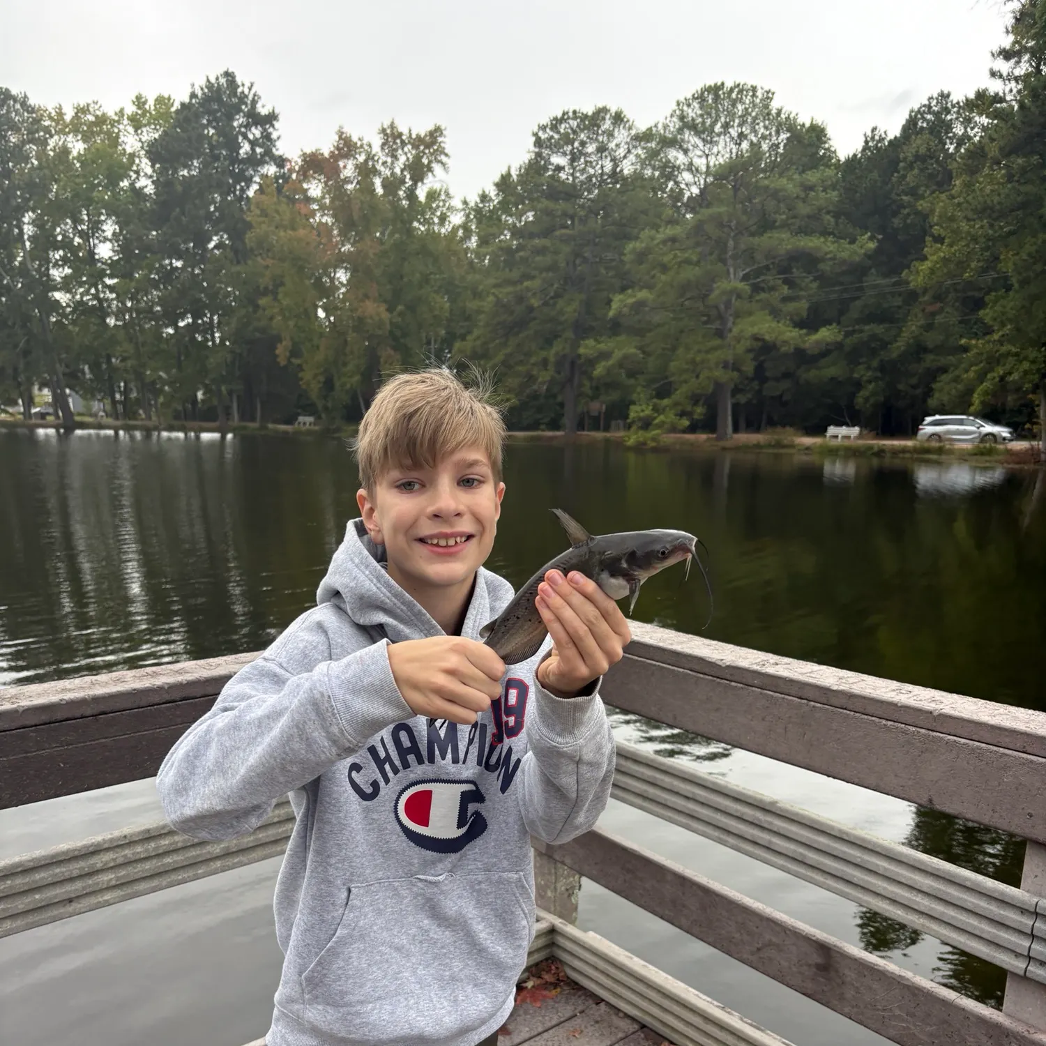Channel catfish caught on Fishbrain
