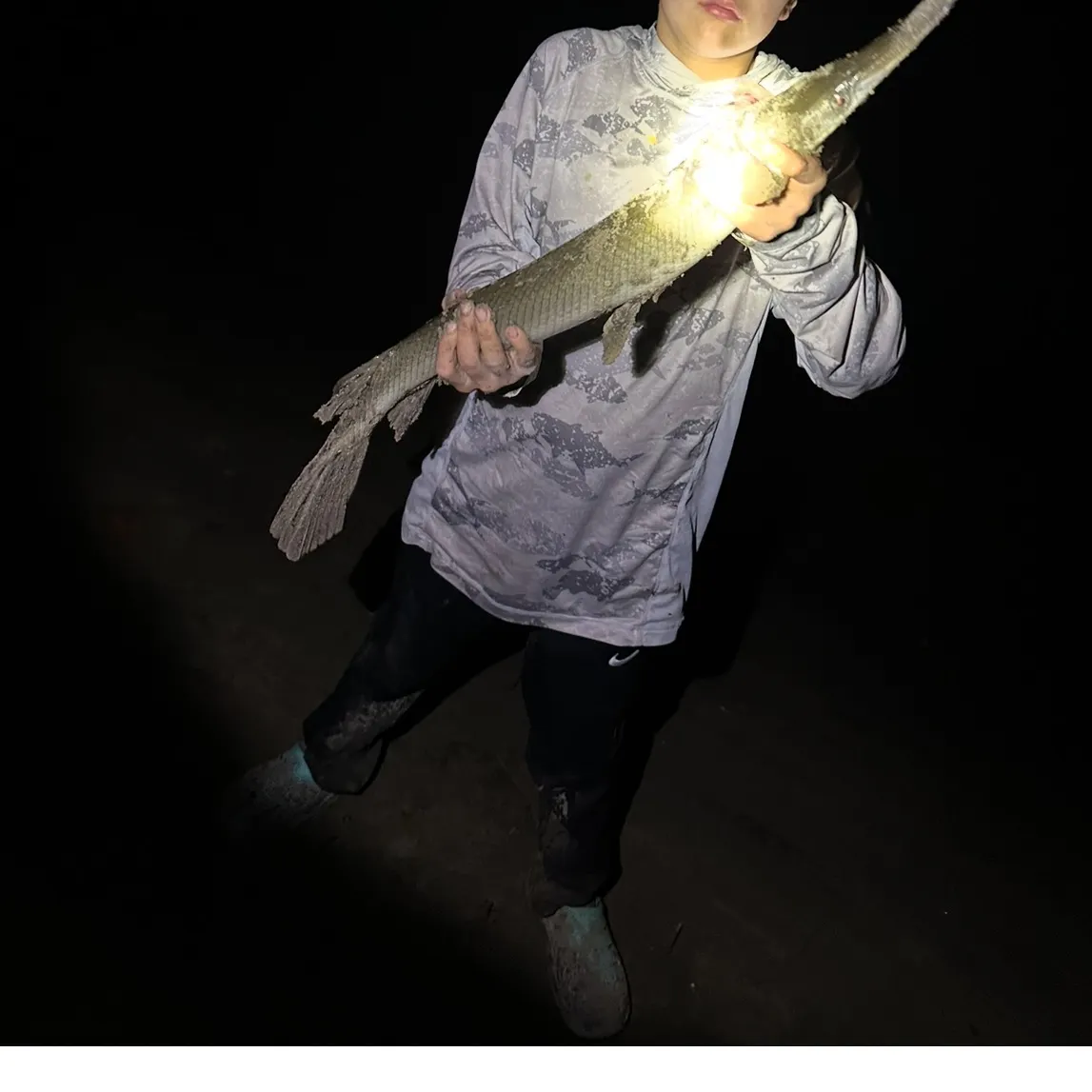 The most recent Shortnose gar catches on Fishbrain