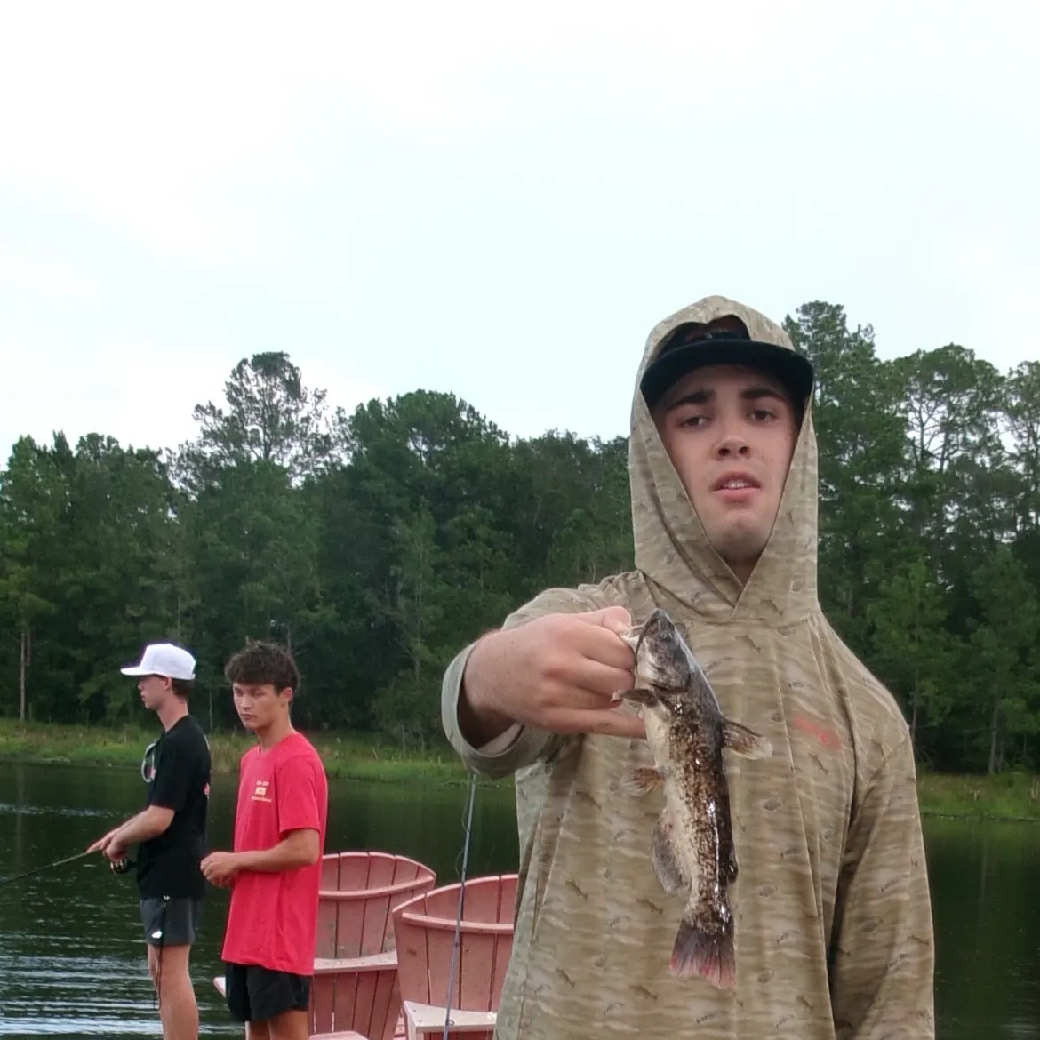 Brown bullhead caught on Fishbrain