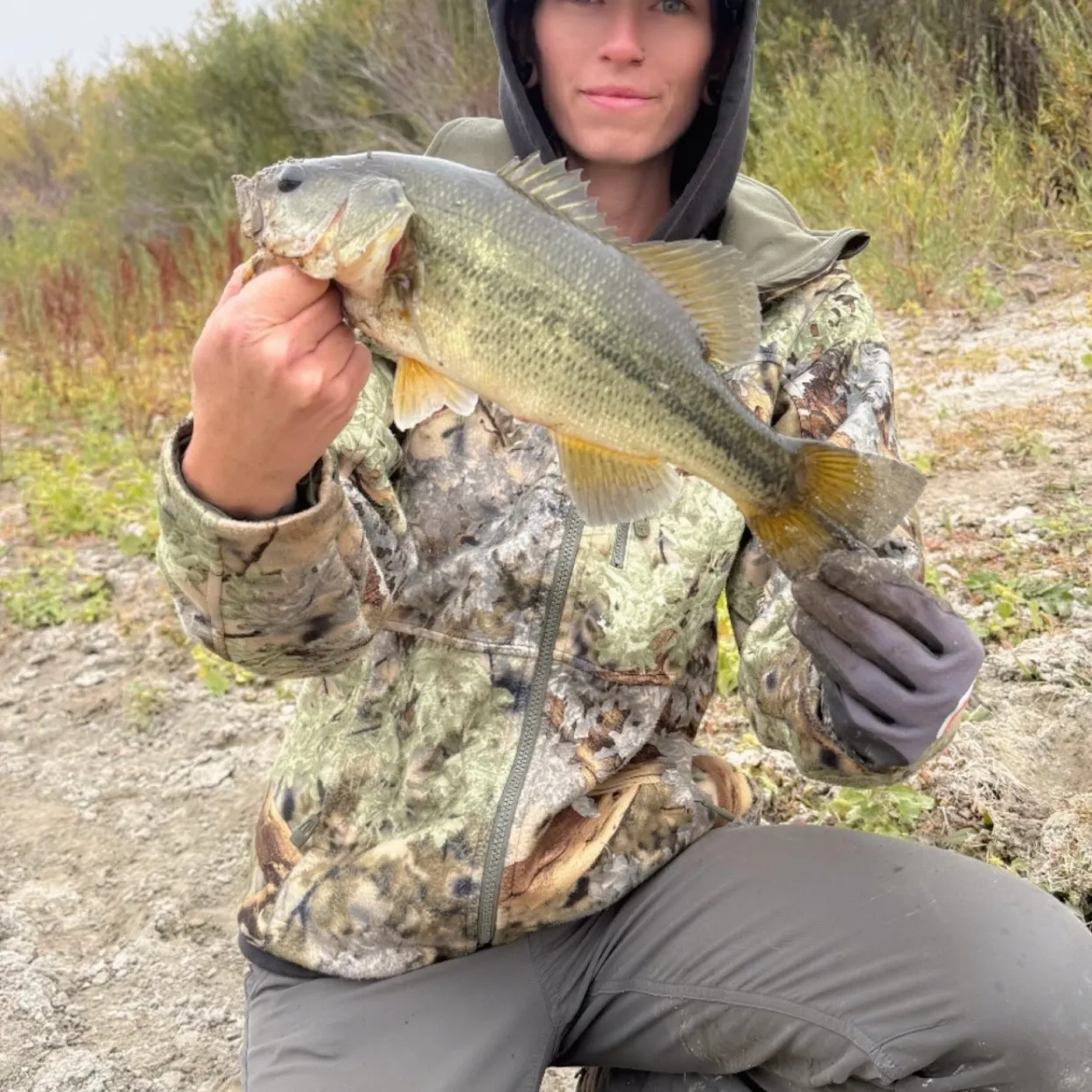 Fish caught on Fishbrain