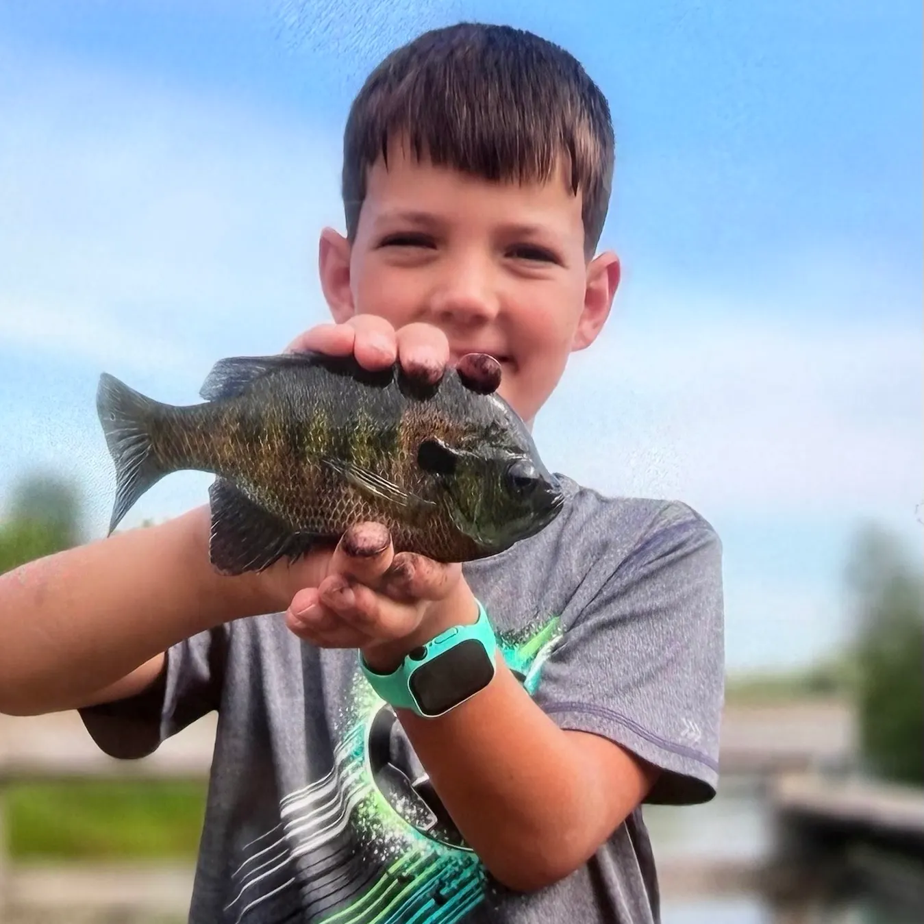 Bluegill caught on Fishbrain