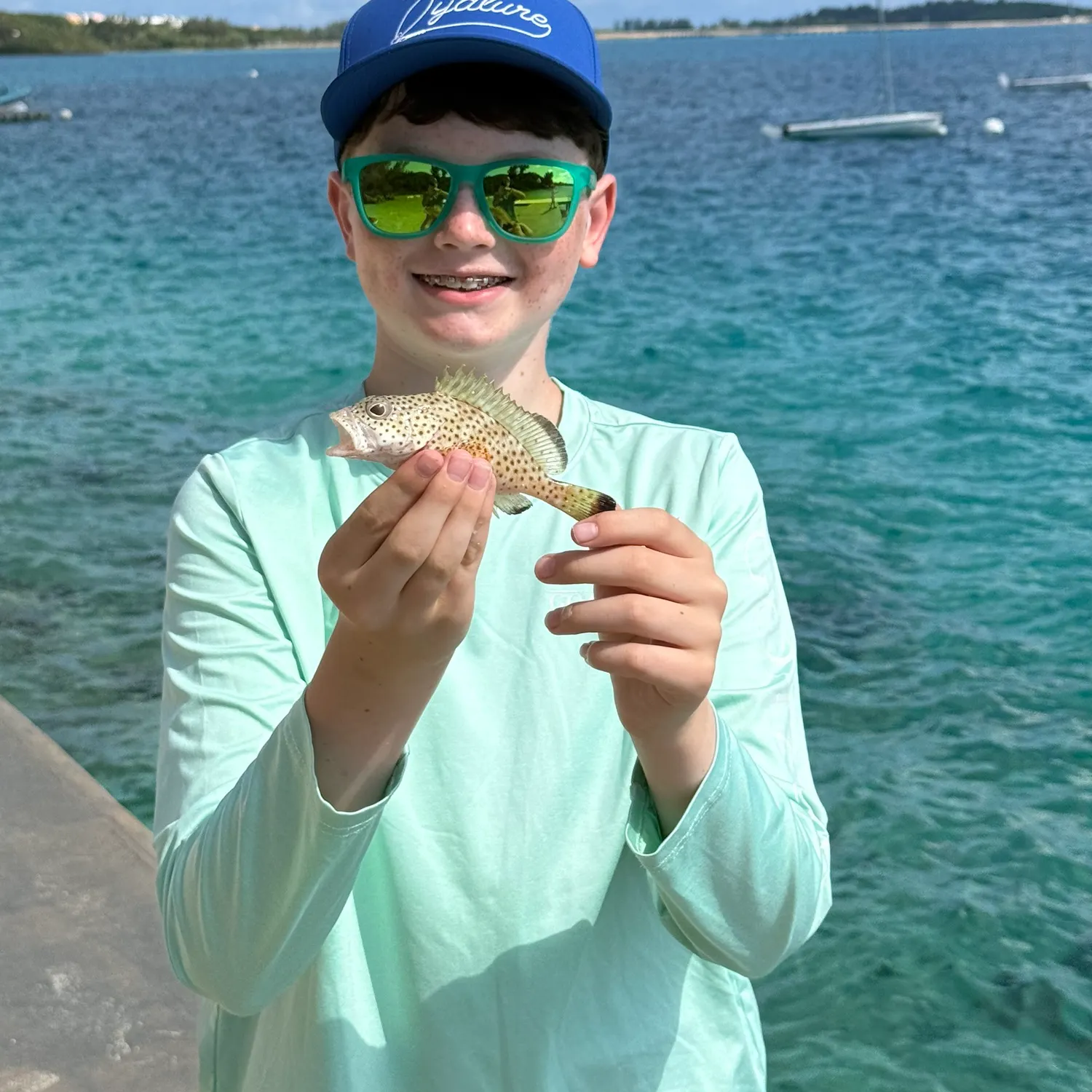 The most recent Graysby grouper catches on Fishbrain