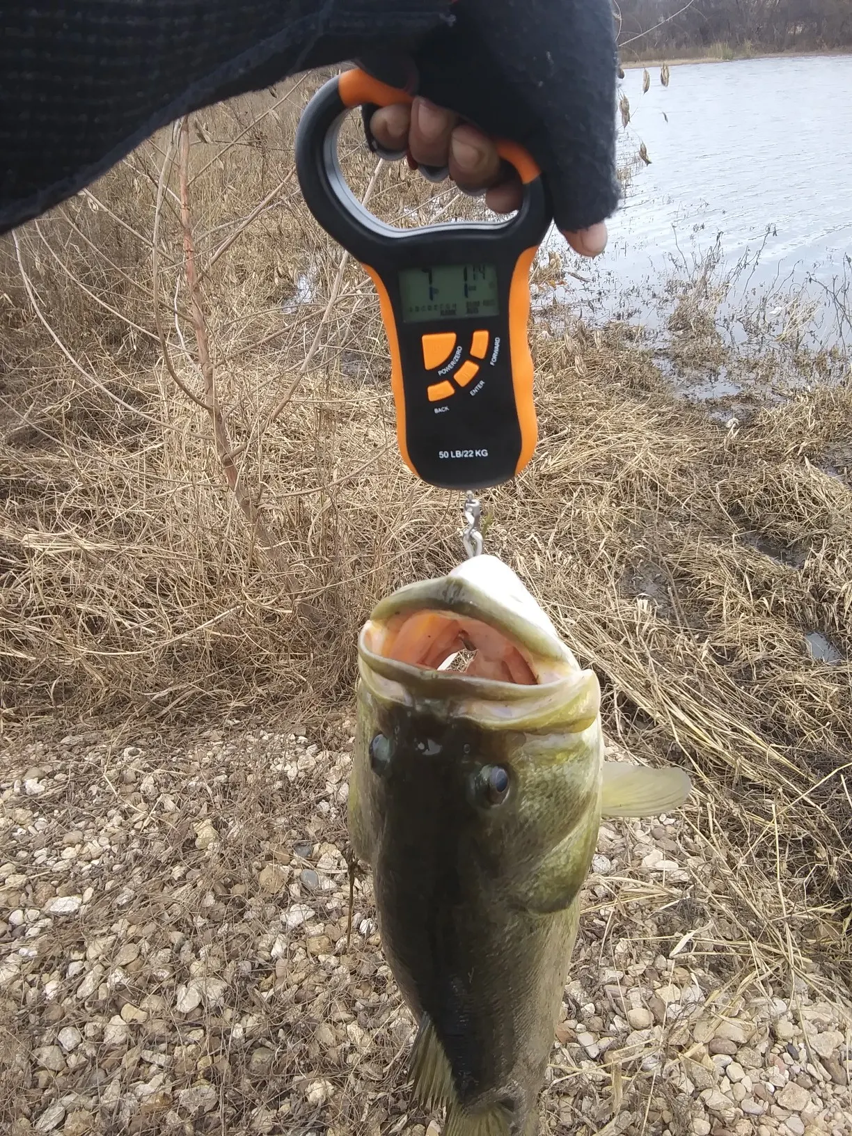 Post image from adeaton2312