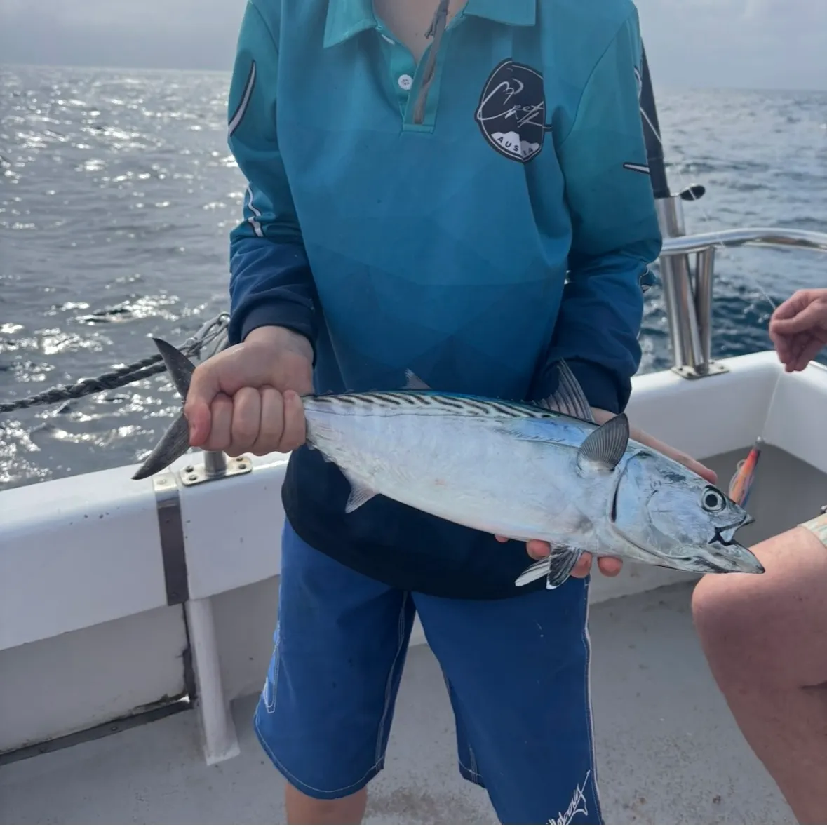 Little tunny caught on Fishbrain