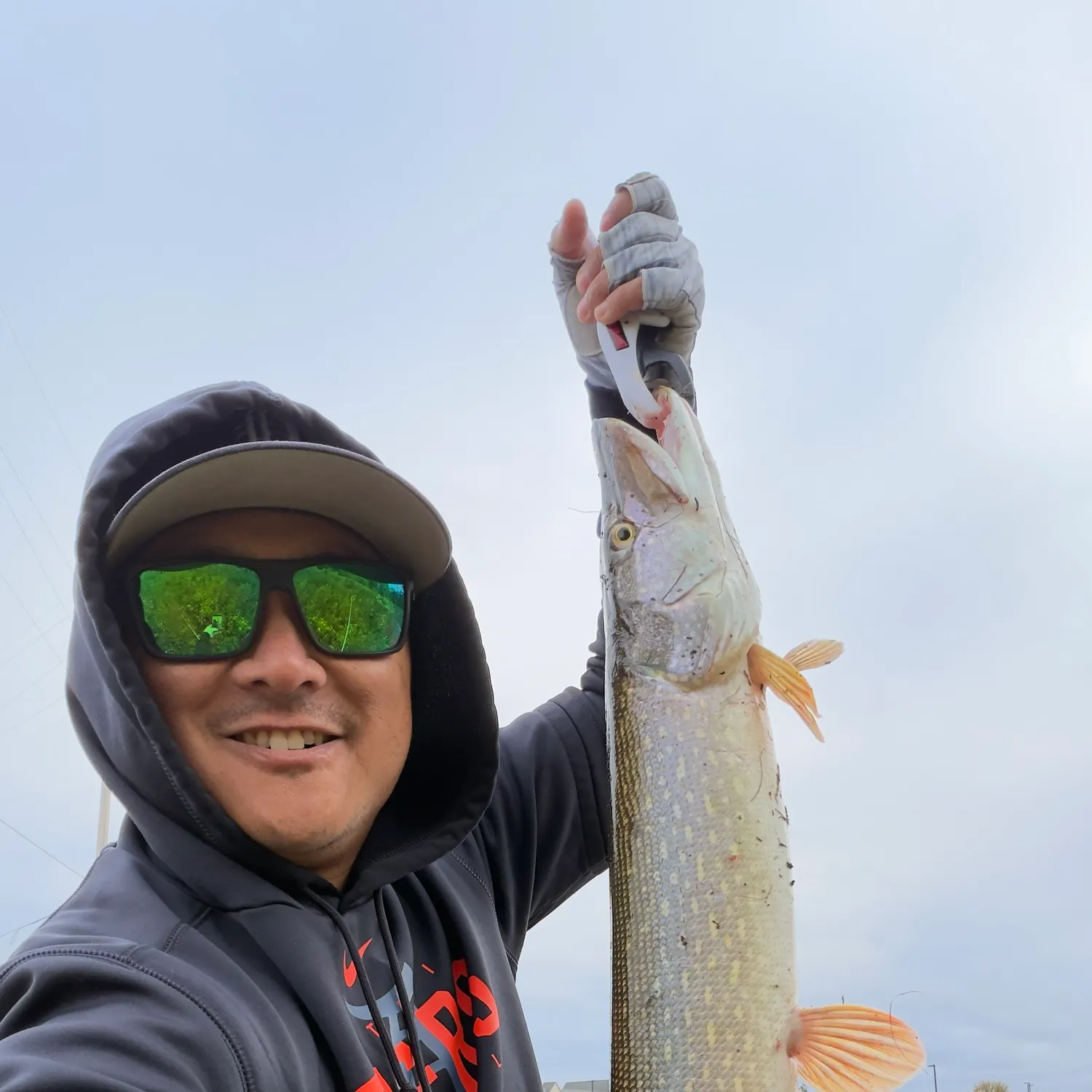 Northern pike caught on Fishbrain