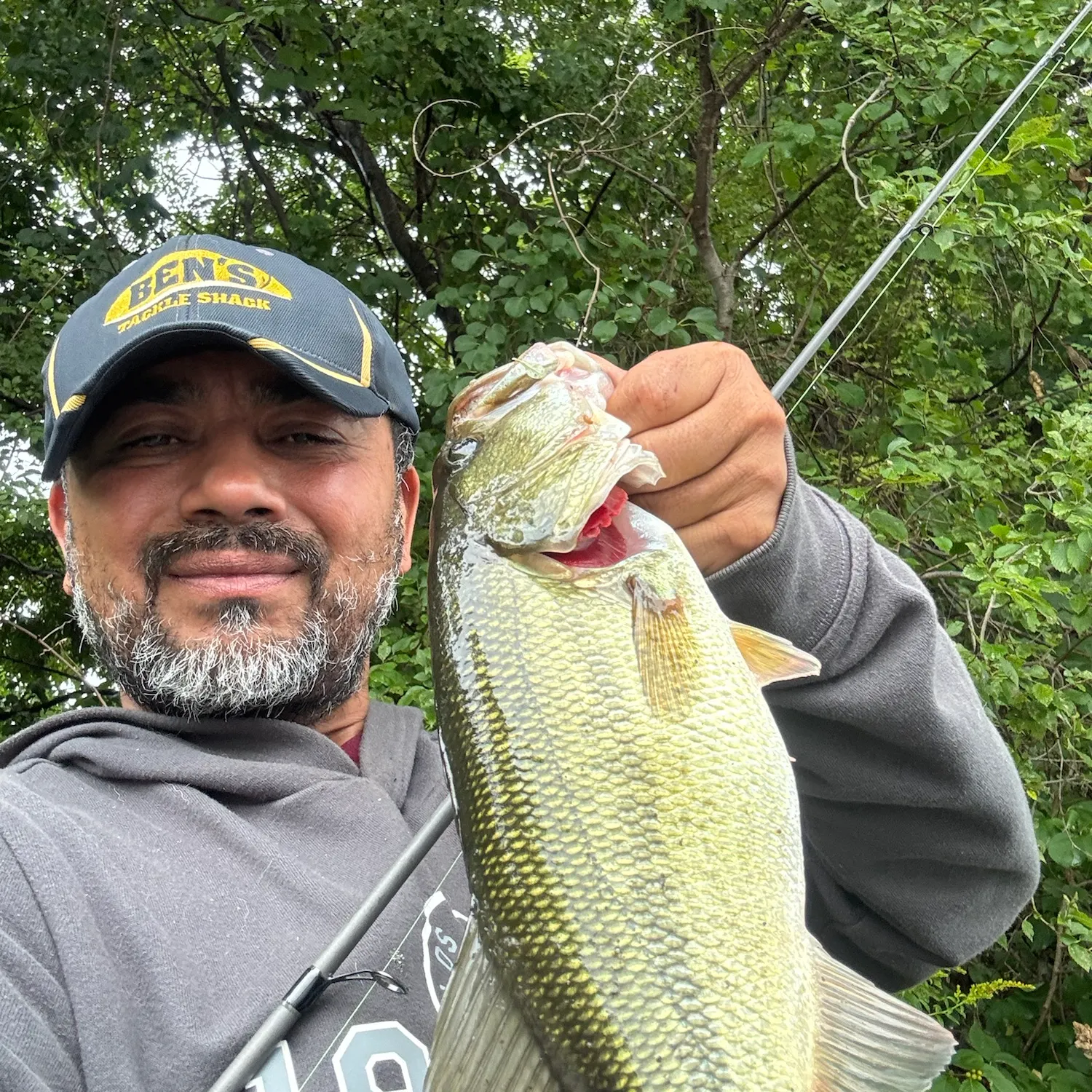 Largemouth bass caught on Fishbrain