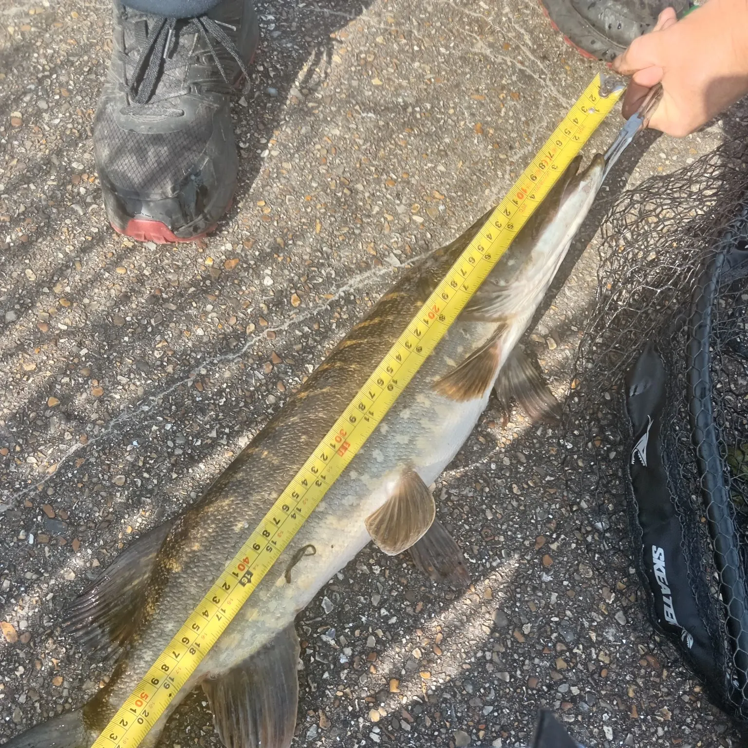 catch