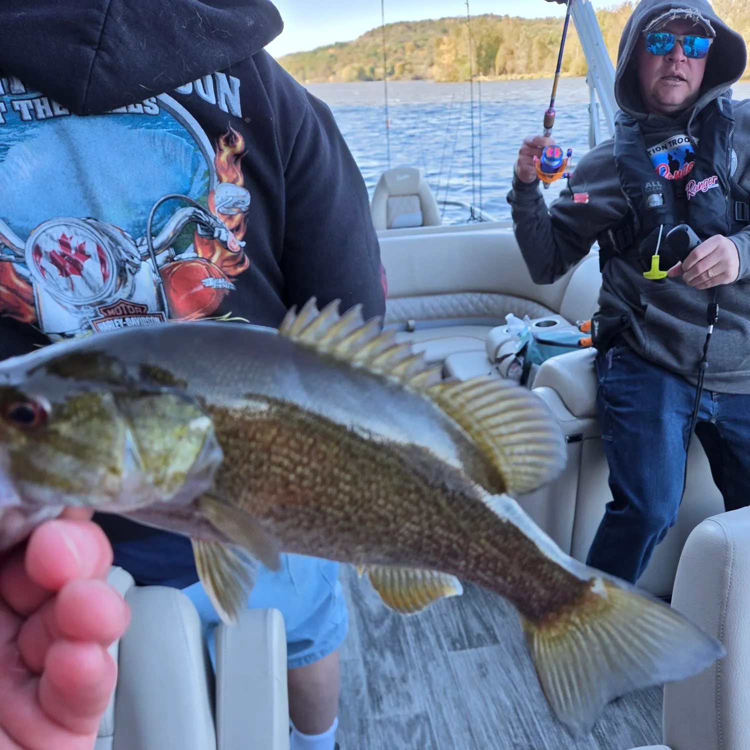 Smallmouth bass caught on Fishbrain