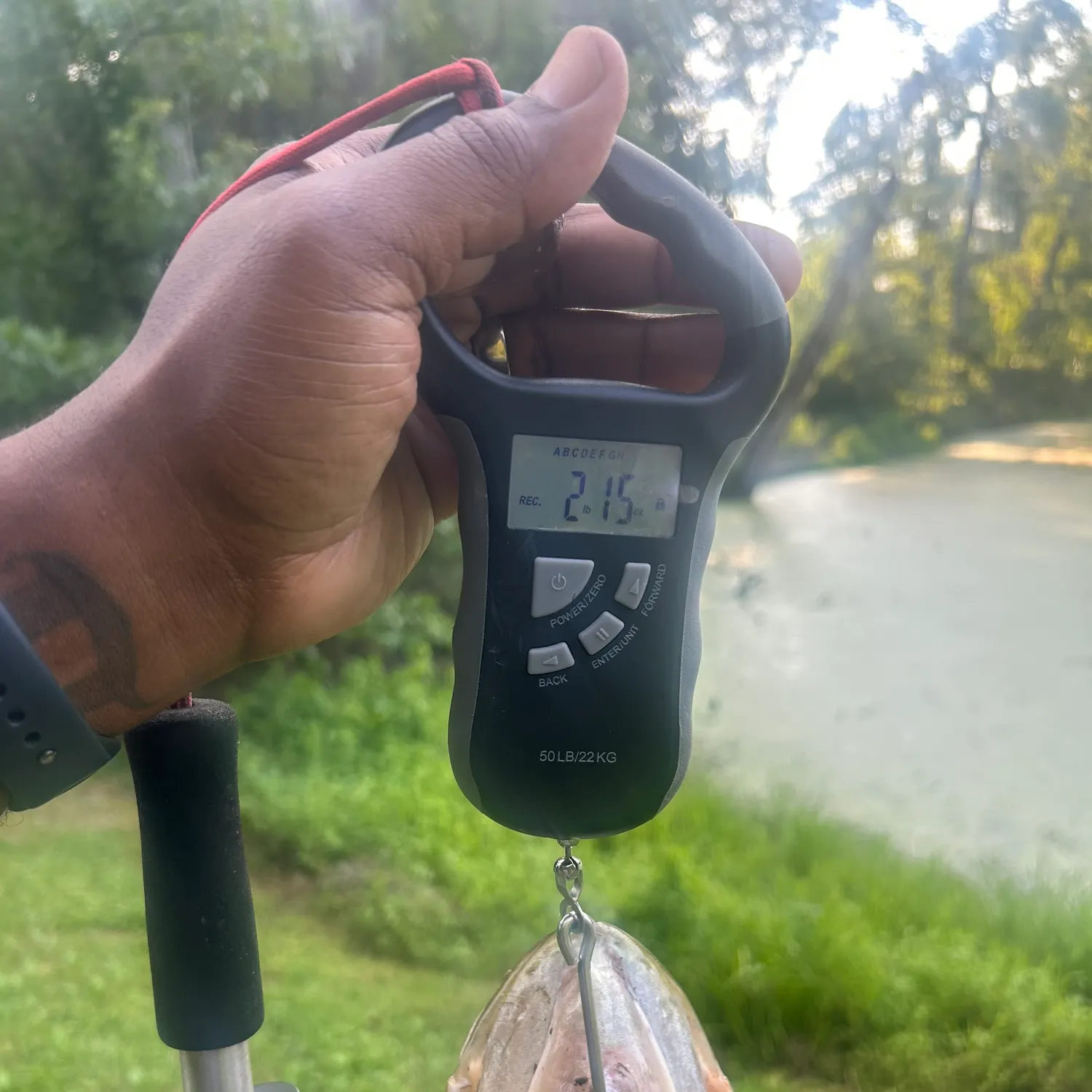 recently logged catches