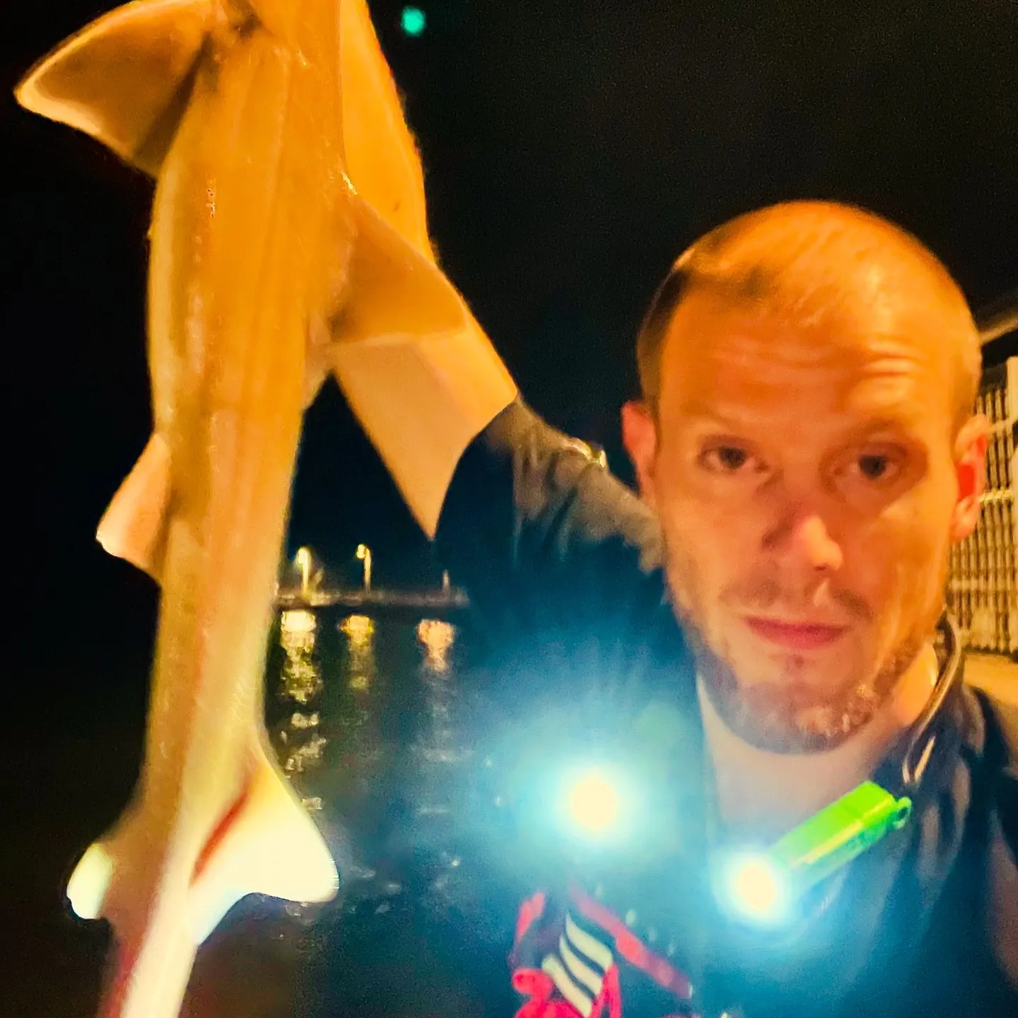 The most recent Starspotted smooth-hound catches on Fishbrain