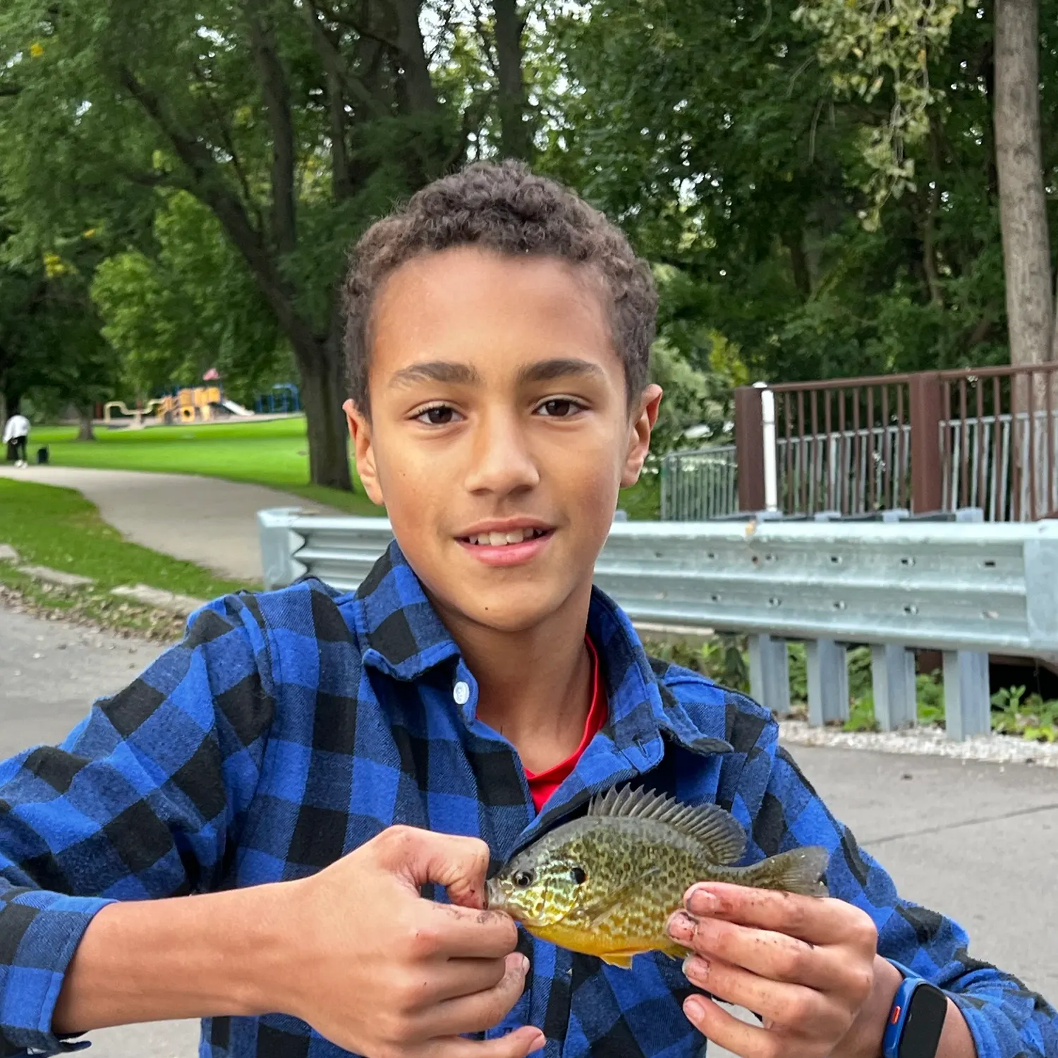 Pumpkinseed caught on Fishbrain