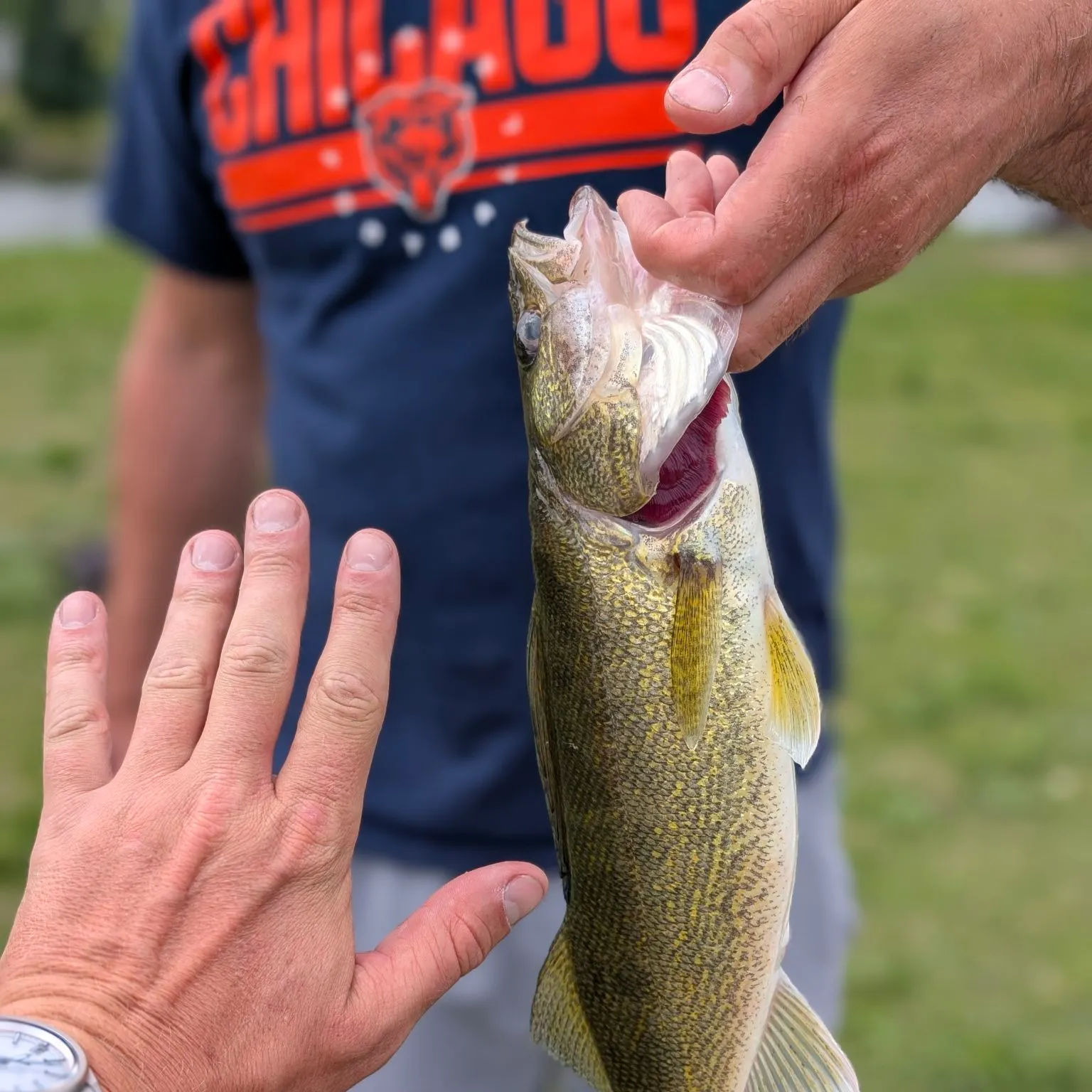 catch