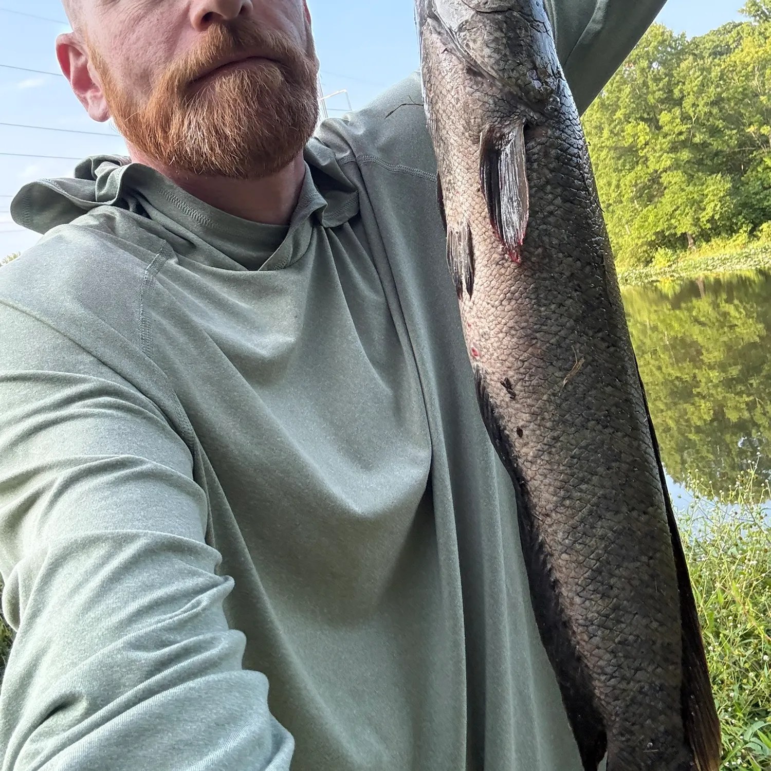 Northern snakehead caught on Fishbrain