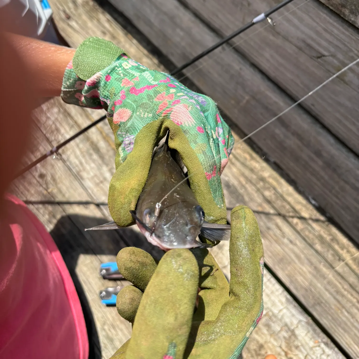 catch