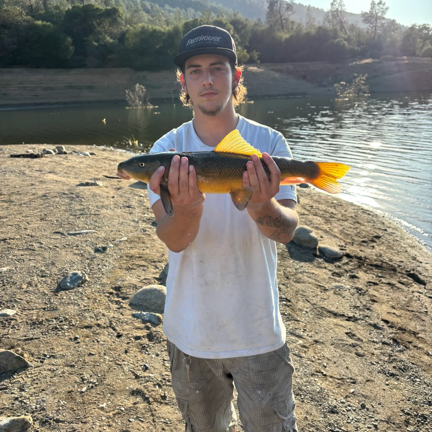 The most recent Sacramento sucker catches on Fishbrain