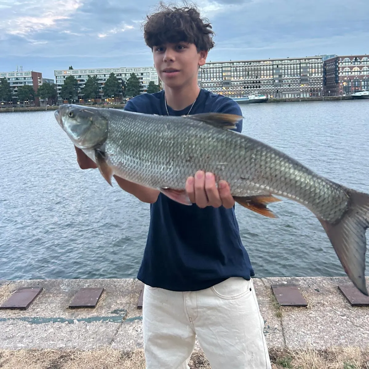 The most recent Asp catches on Fishbrain