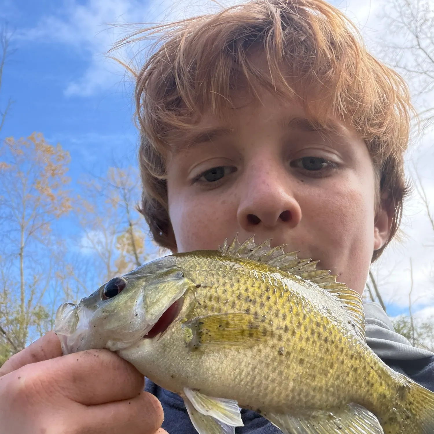 Rock bass caught on Fishbrain
