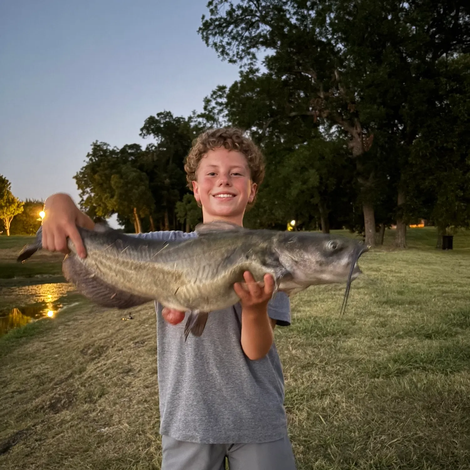 Channel catfish caught on Fishbrain