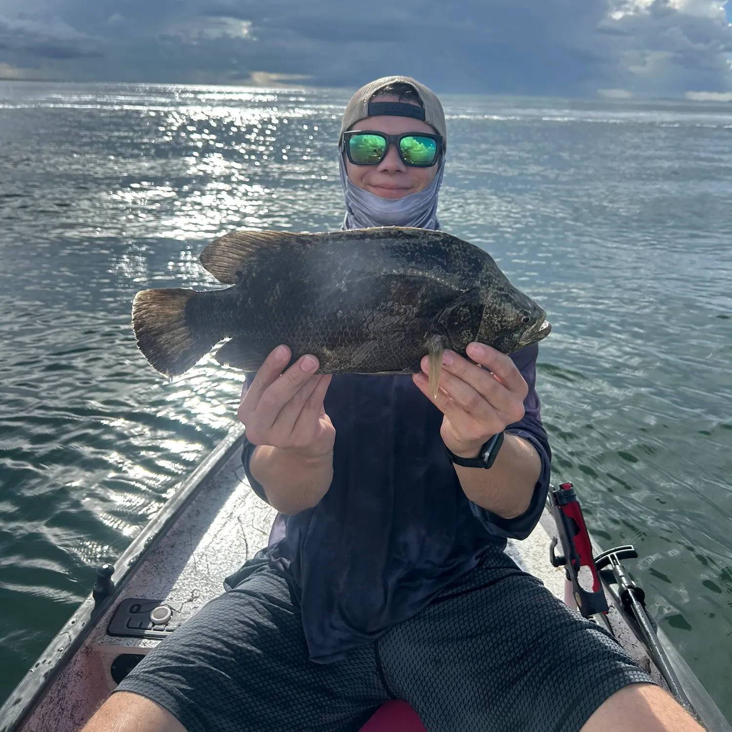 Atlantic tripletail caught on Fishbrain