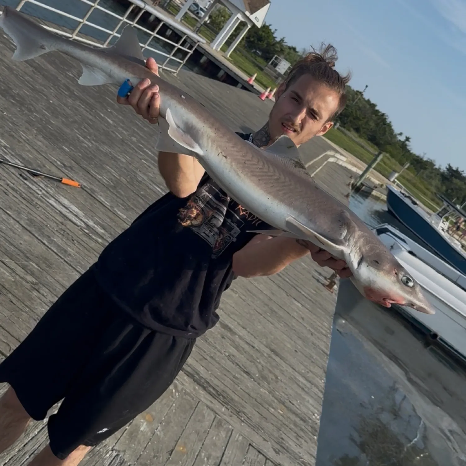 The most recent Piked dogfish catches on Fishbrain