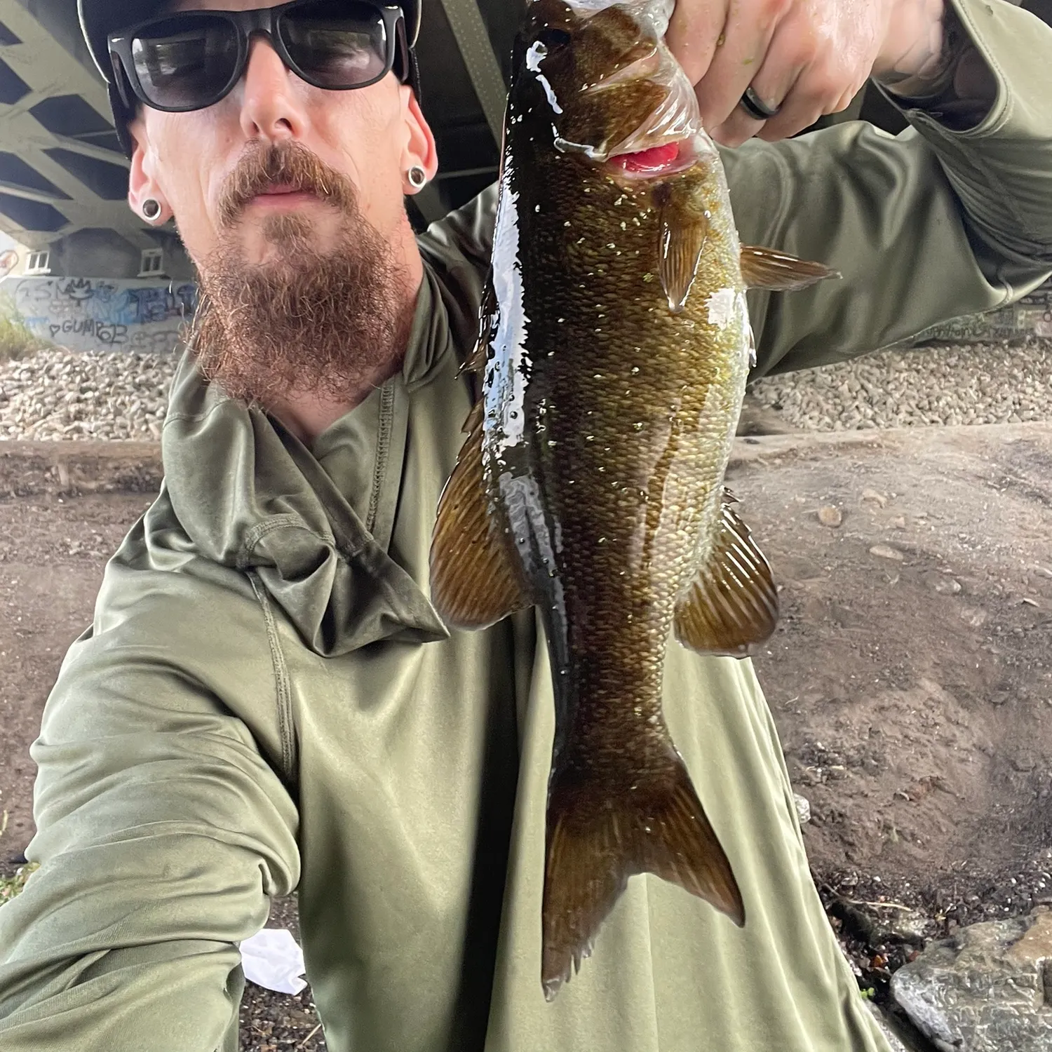 Smallmouth bass caught on Fishbrain