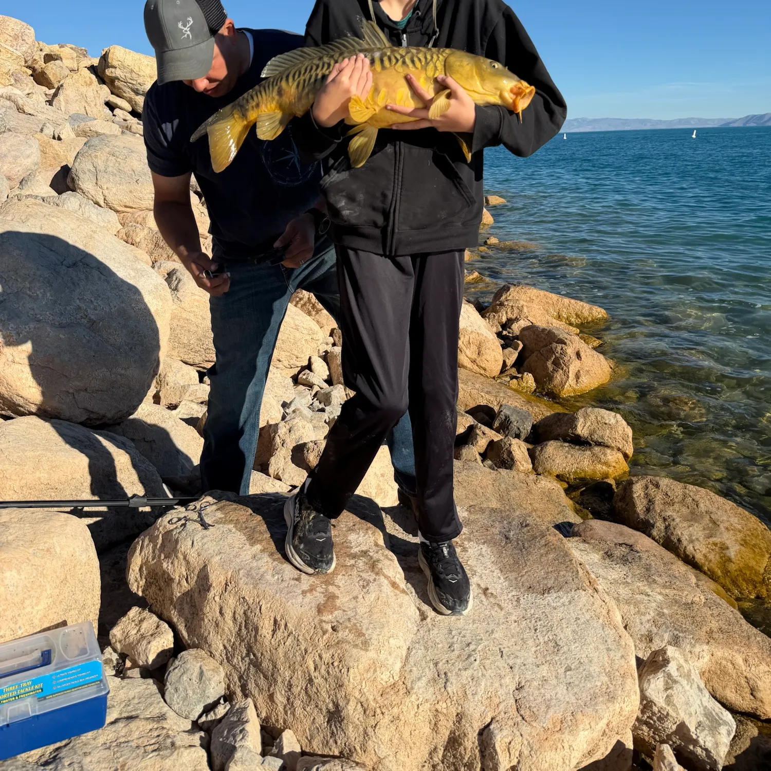 The most recent Mirror carp catches on Fishbrain