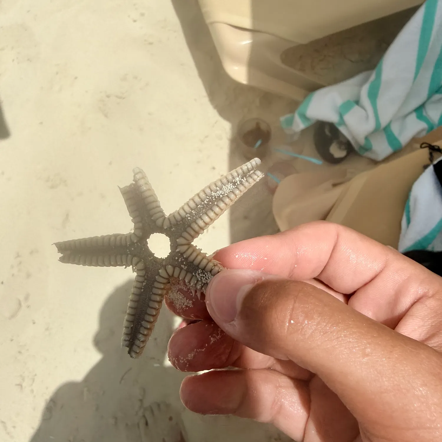 Fish caught on Fishbrain