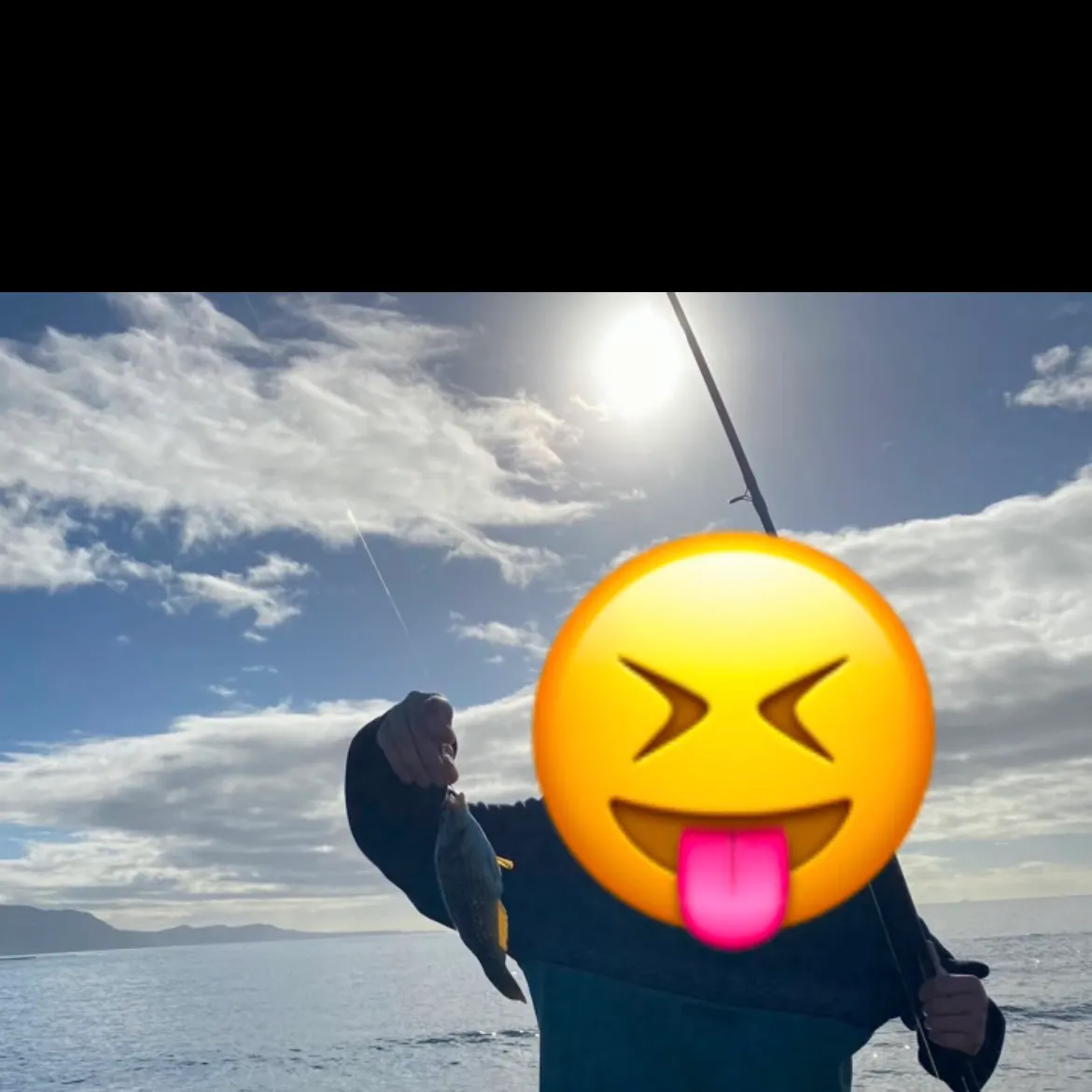 The most recent Gunther's wrasse catches on Fishbrain