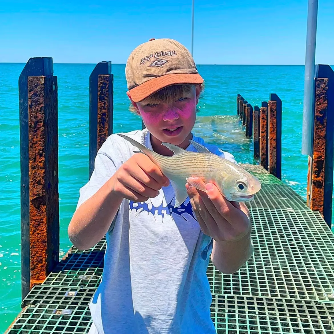 Fish caught on Fishbrain