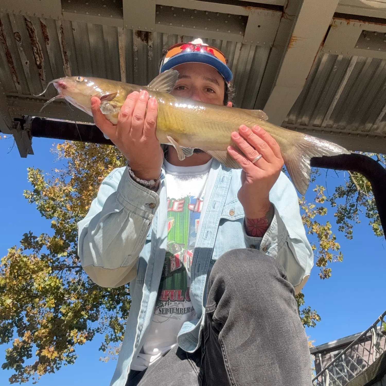 Channel catfish caught on Fishbrain