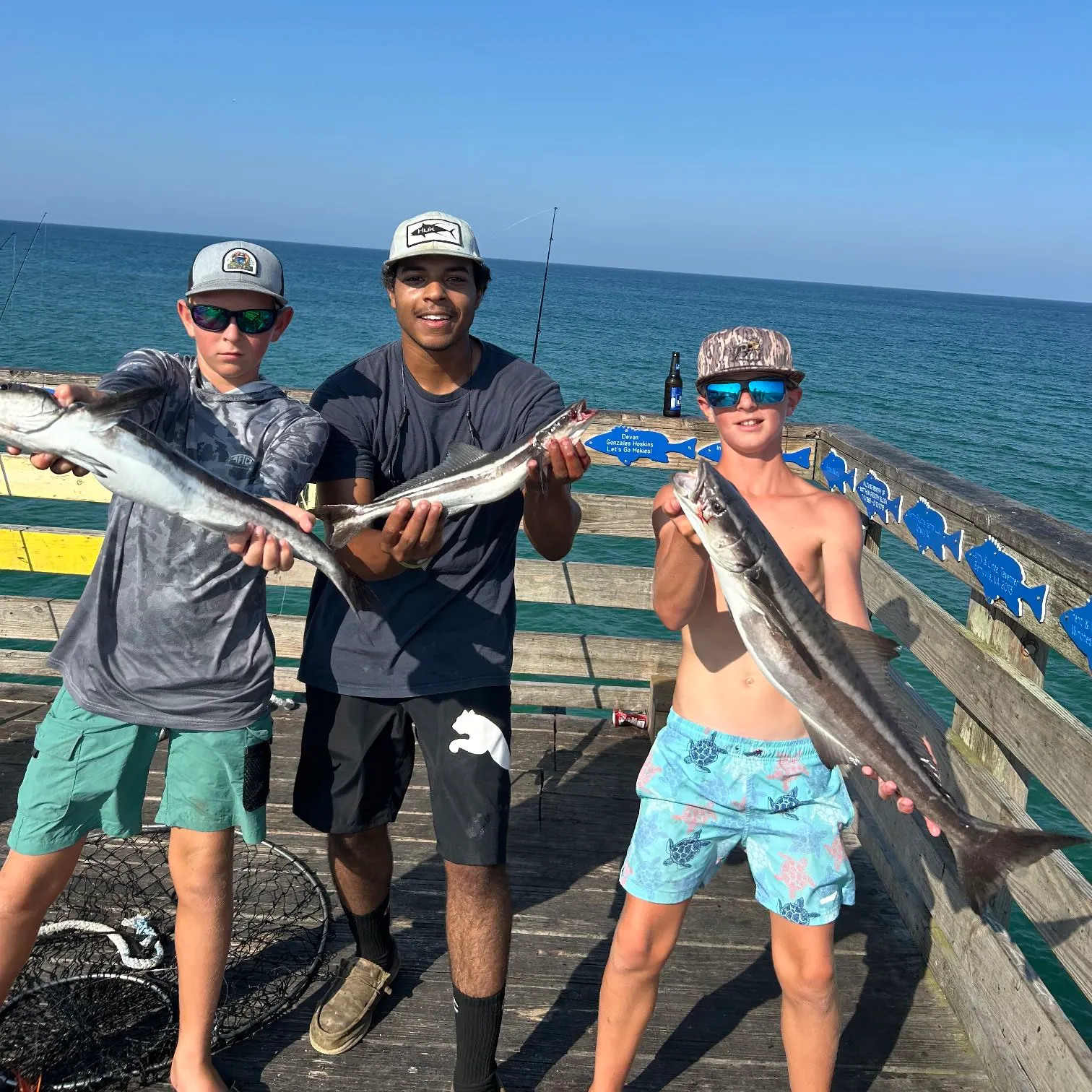 The most recent Cobia catches on Fishbrain