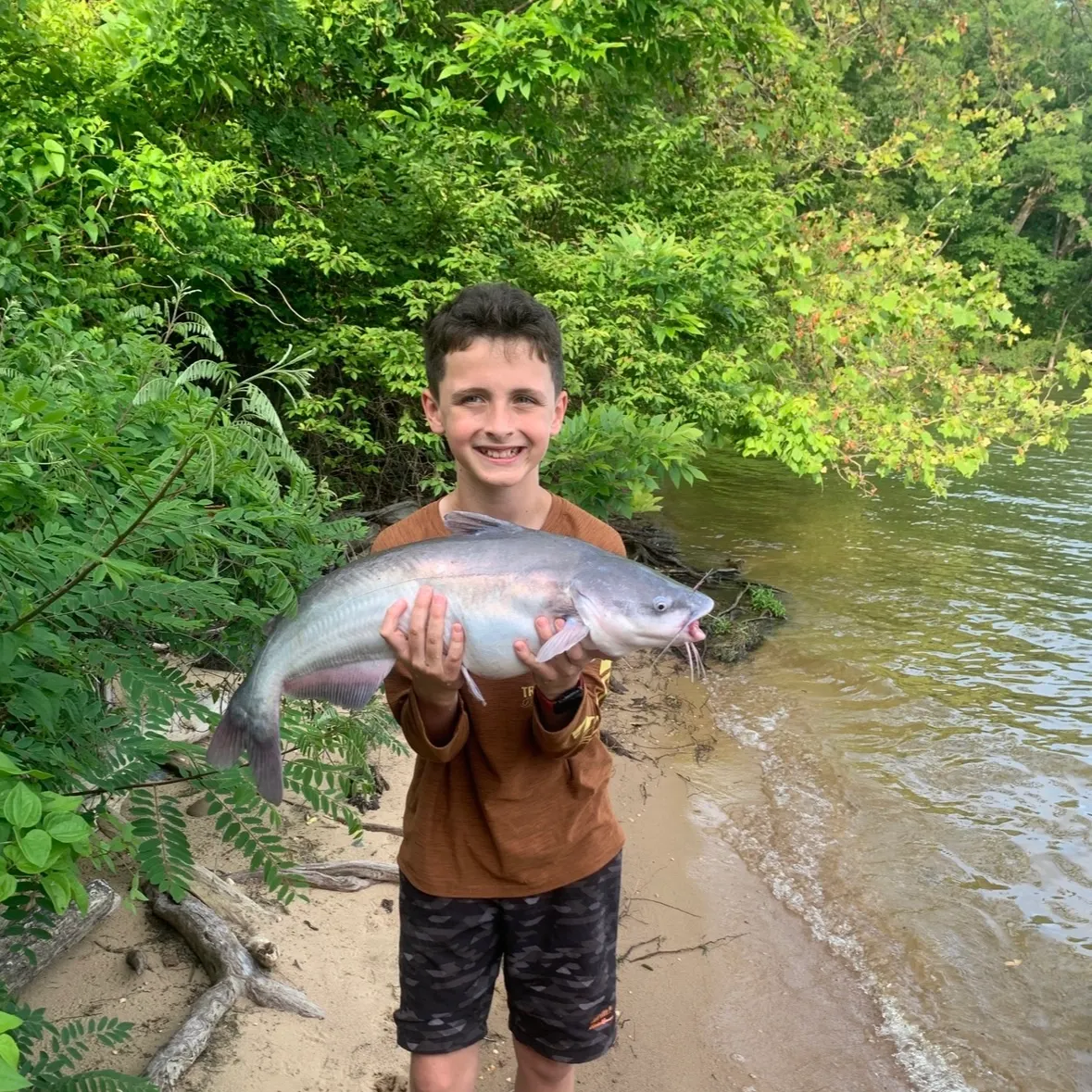 Blue catfish caught on Fishbrain