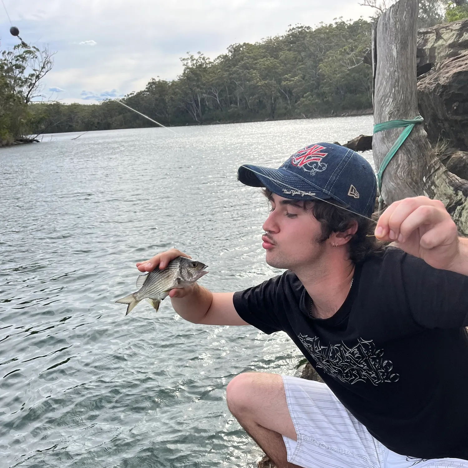 The most recent Southern black bream catches on Fishbrain
