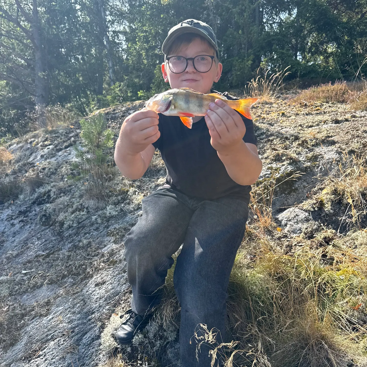 European perch caught on Fishbrain