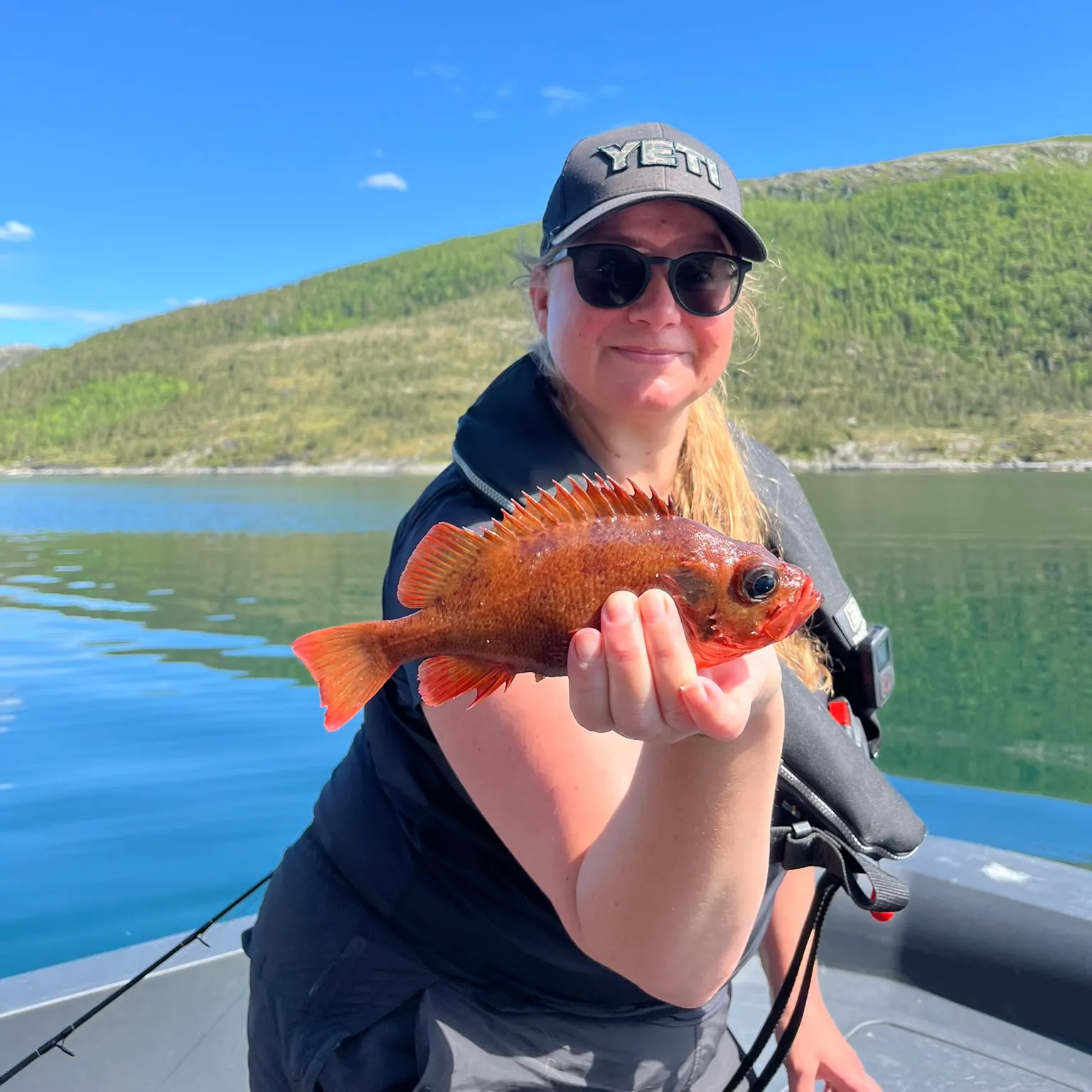 The most recent Norway redfish catches on Fishbrain