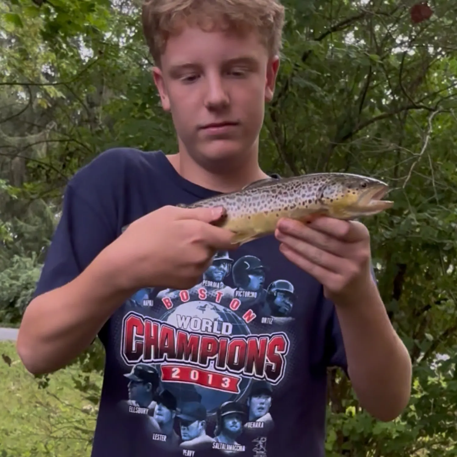 recently logged catches