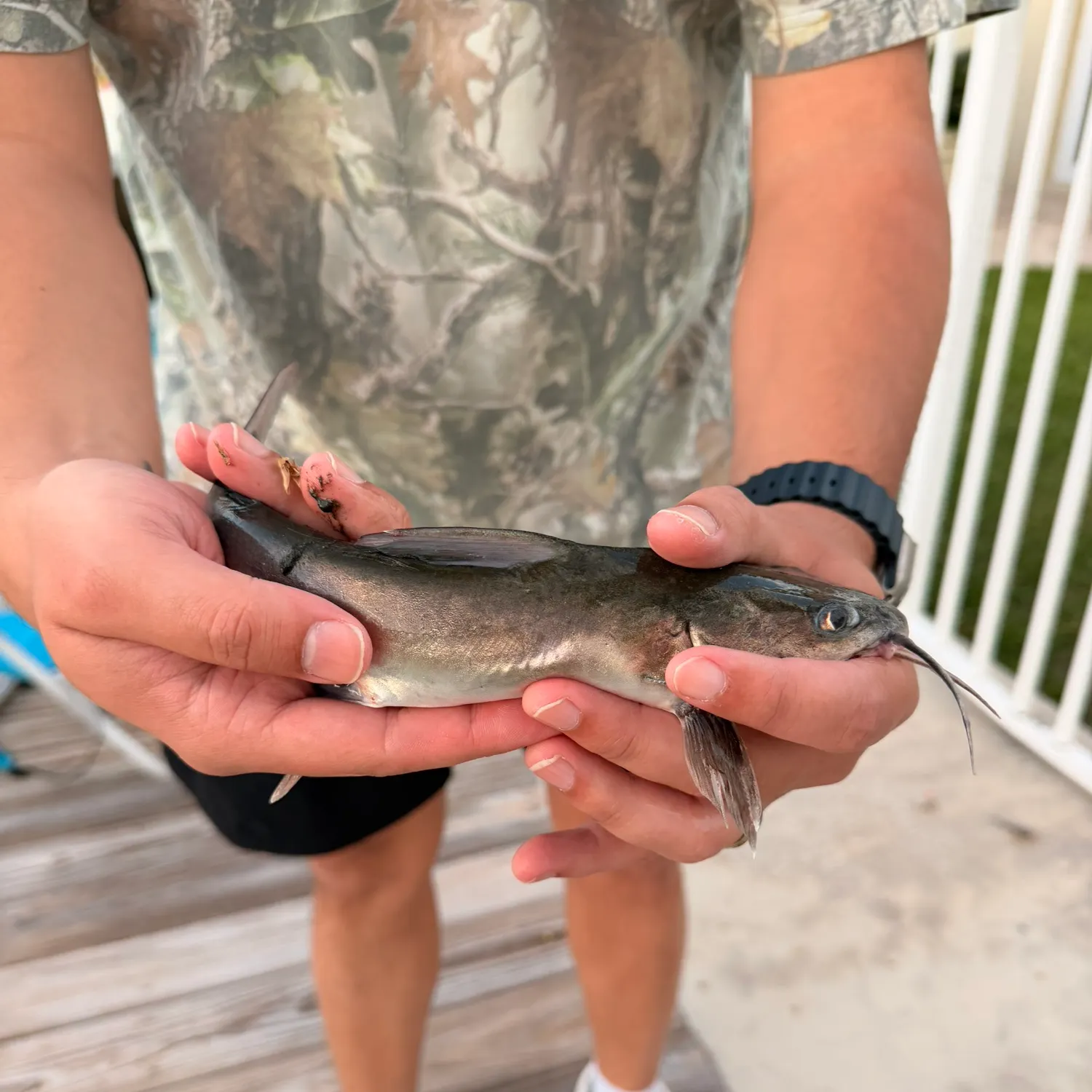 catch