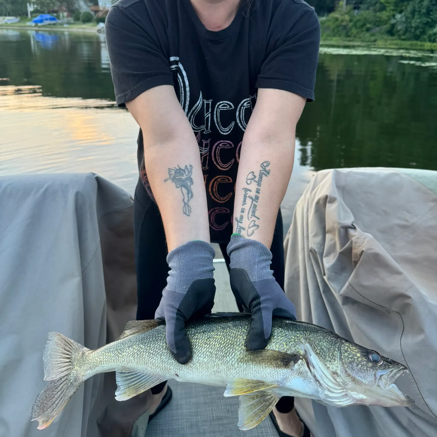 recently logged catches