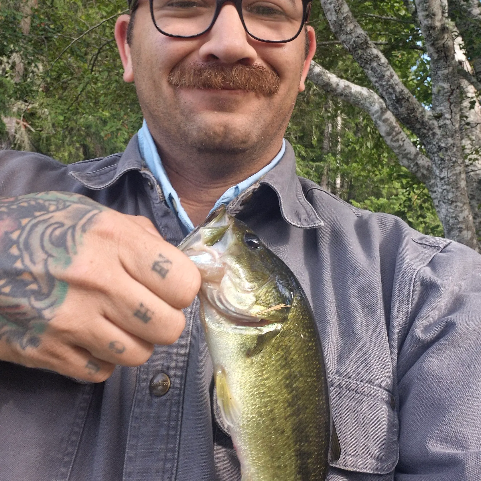 Largemouth bass caught on Fishbrain