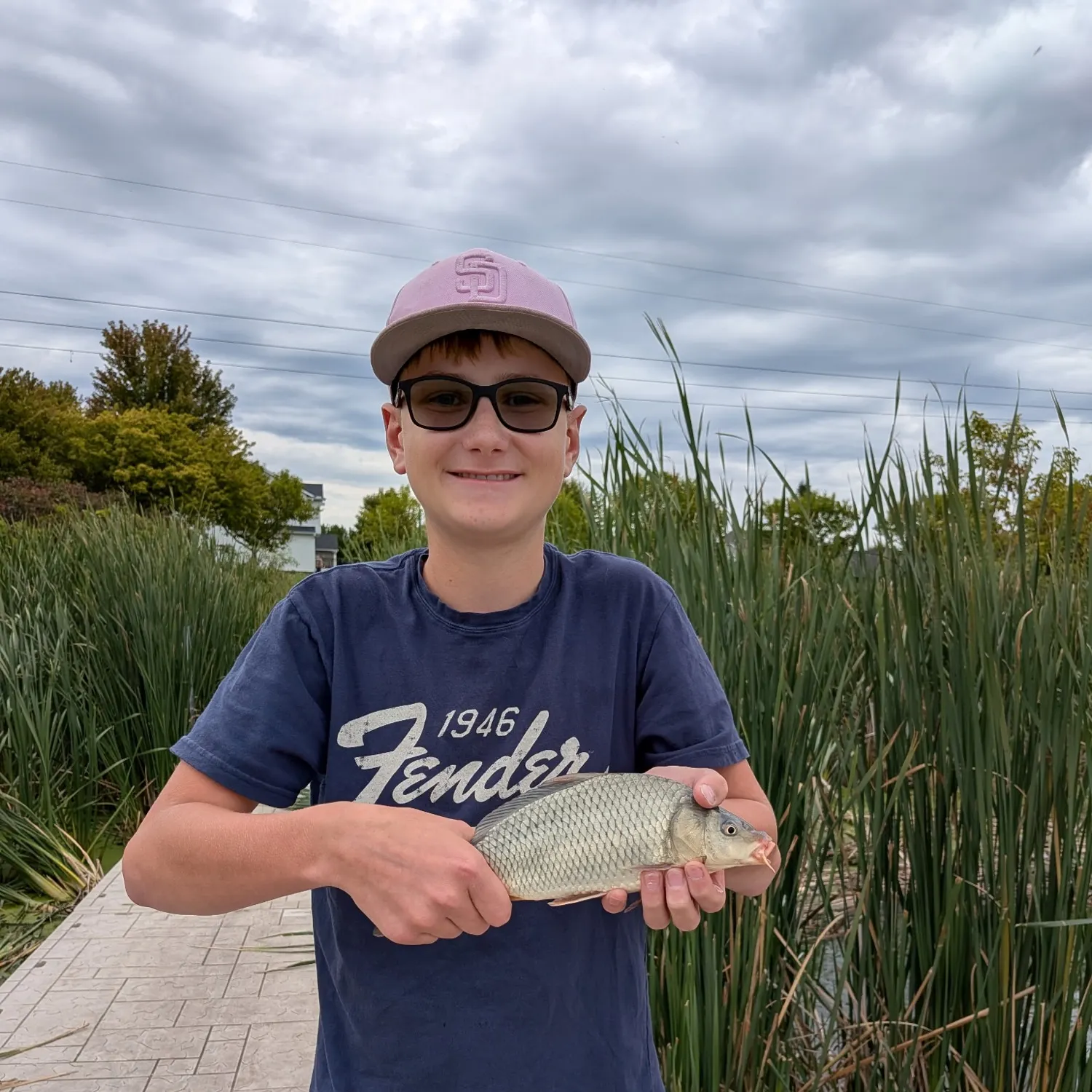 Common carp caught on Fishbrain