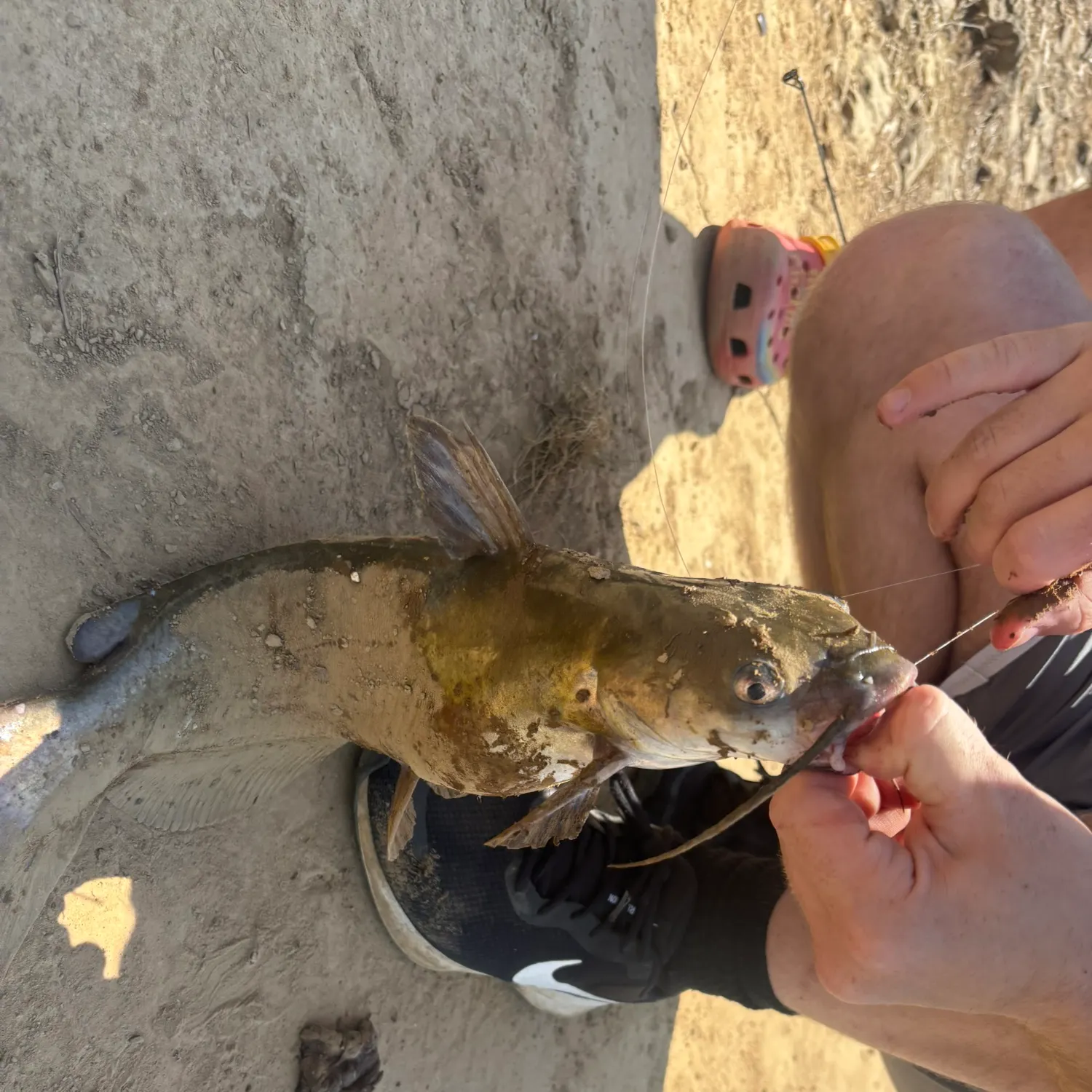 catch