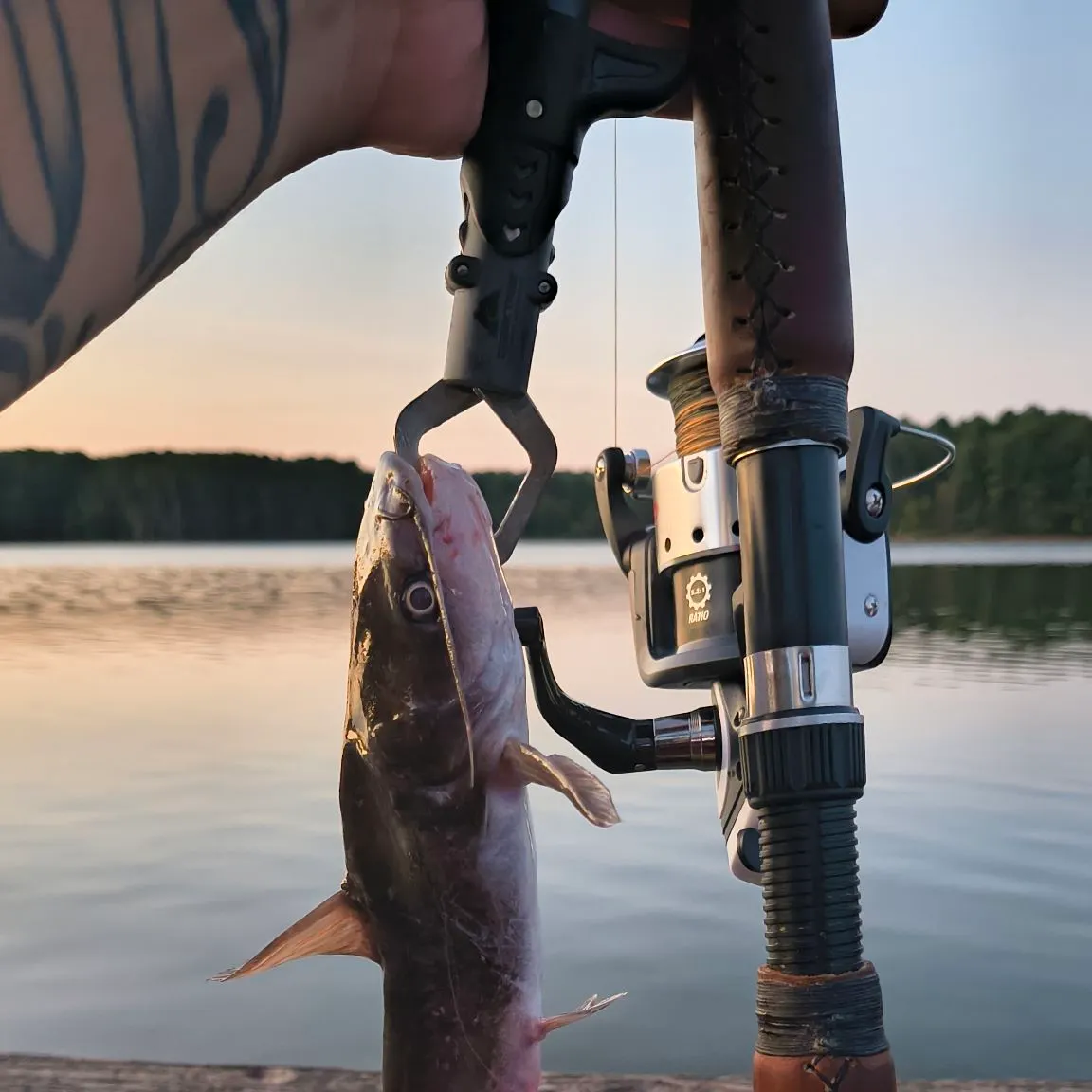 catch