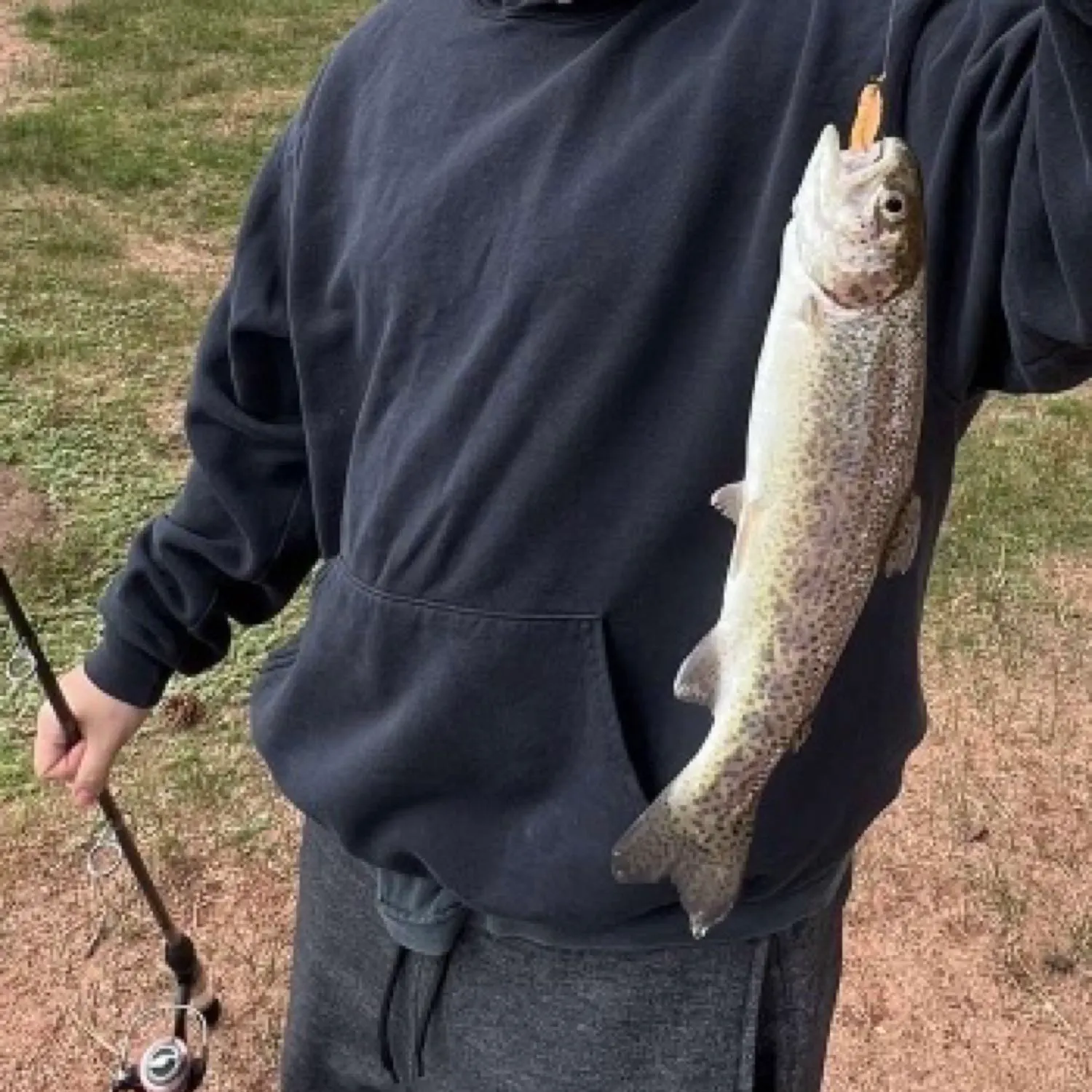 Rainbow trout caught on Fishbrain