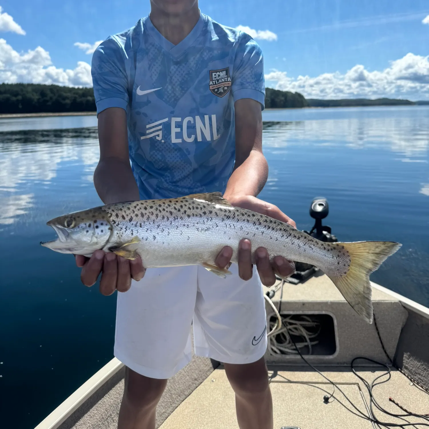 Landlocked atlantic salmon caught on Fishbrain