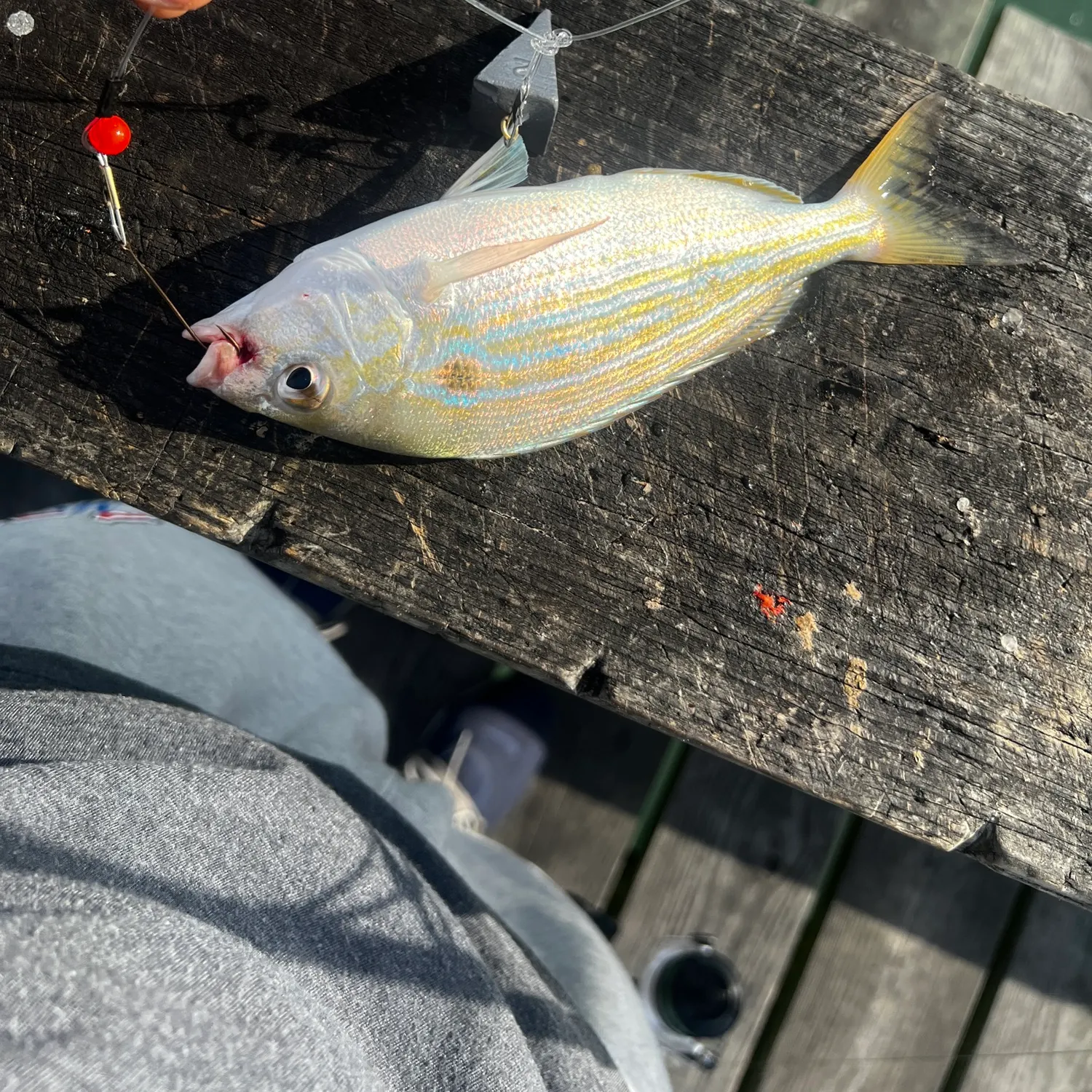 catch