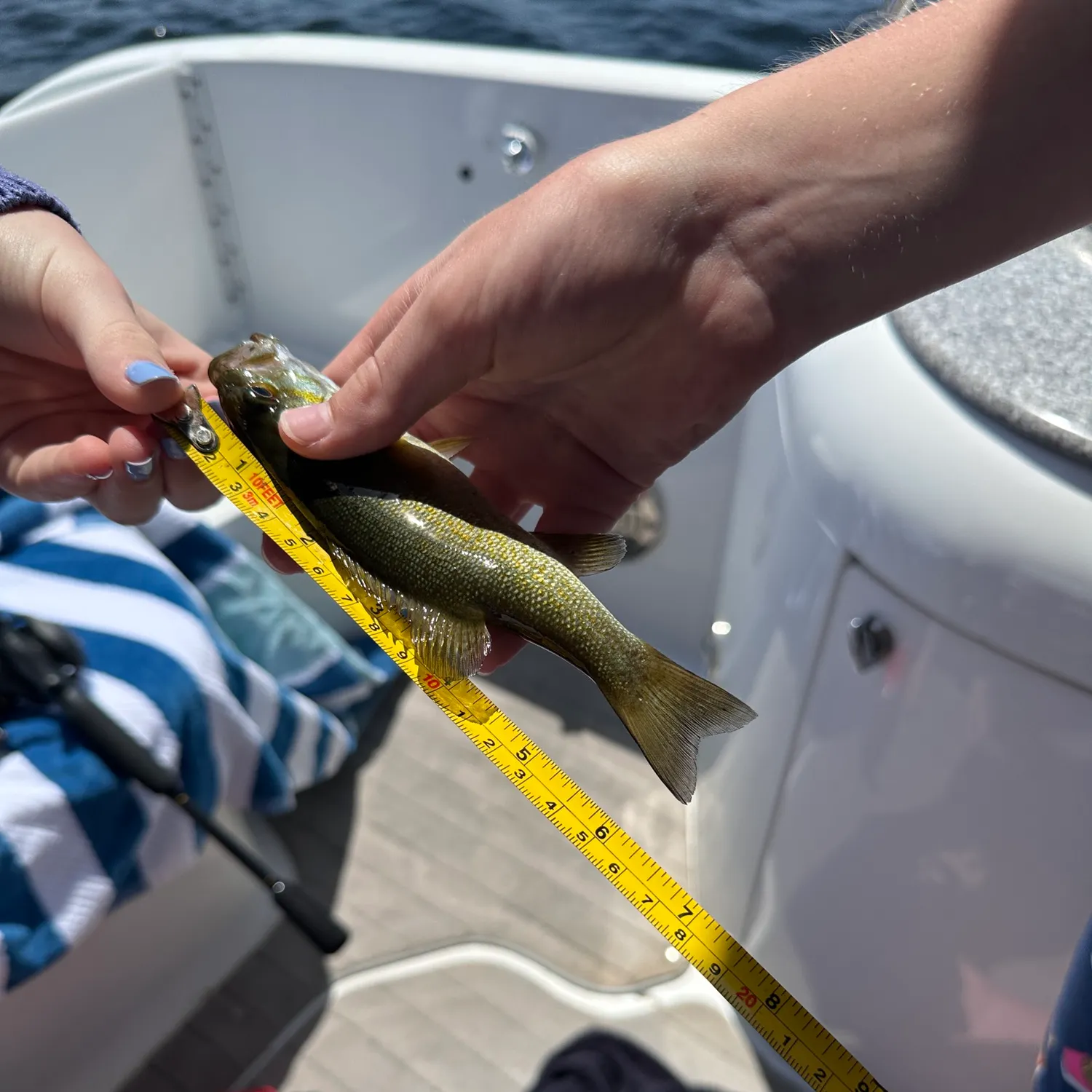 best lures for perch ice fishing Ice Fishing for Perch: Fasting, Focus, and the Sweet Pea Rod