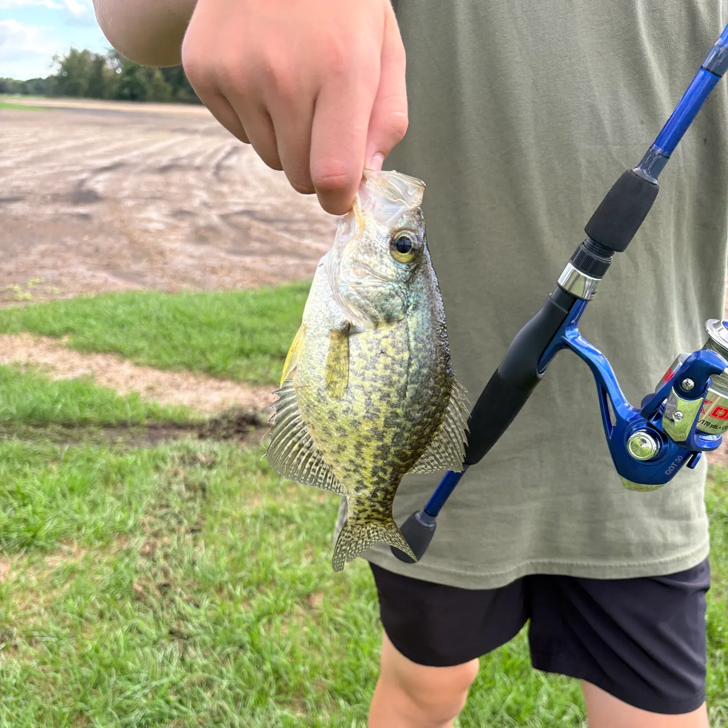 Black crappie caught on Fishbrain